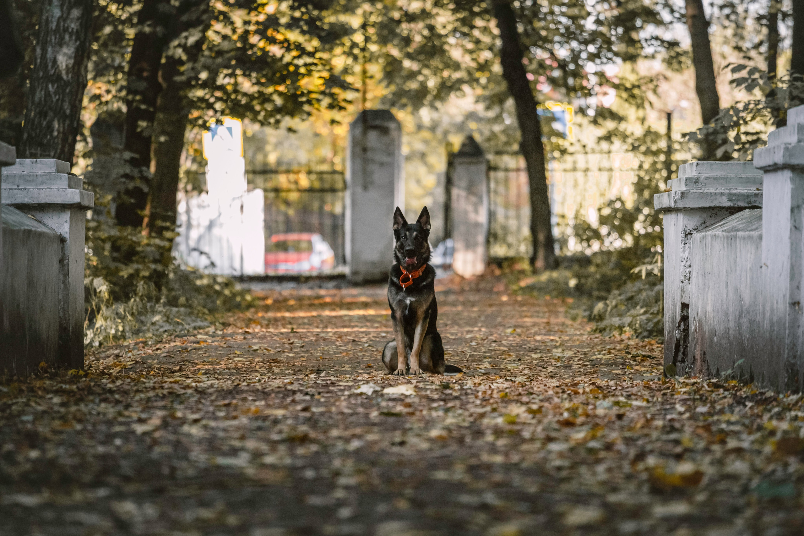 Илай. Фотограф-анималист Татьяна Степанова