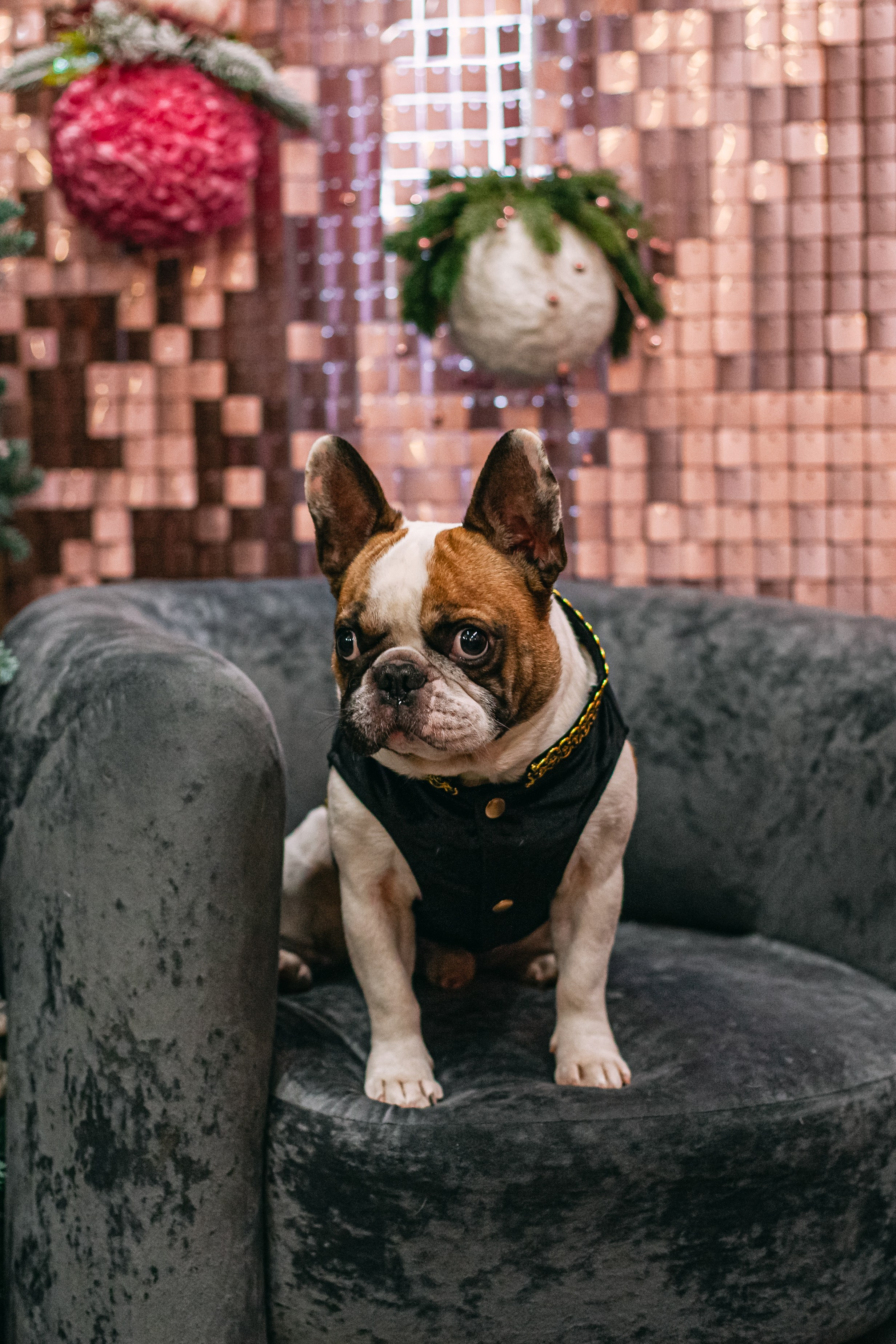 Бульёлка 2024. Фотограф-анималист Татьяна Степанова