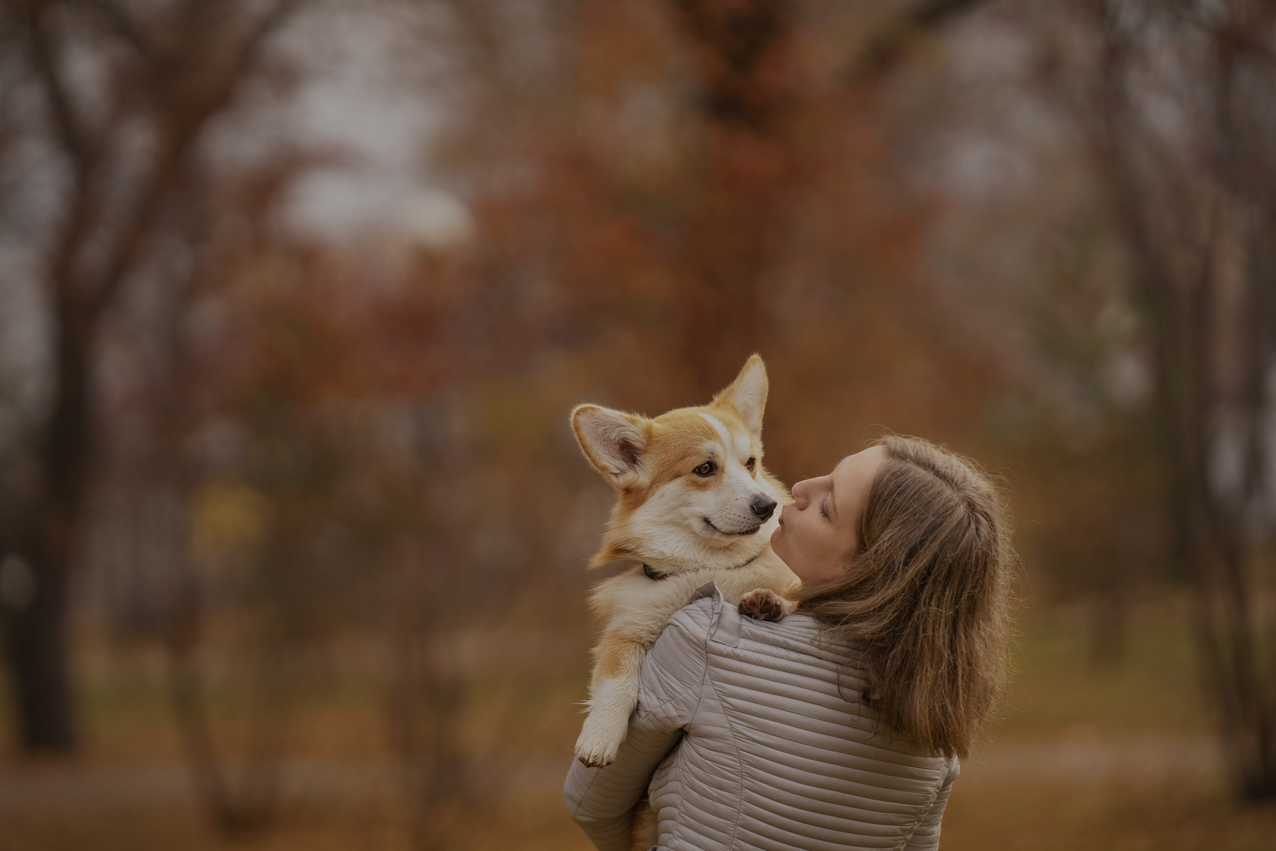 Ольга с семьей и их коргибанда. Kameramotor74