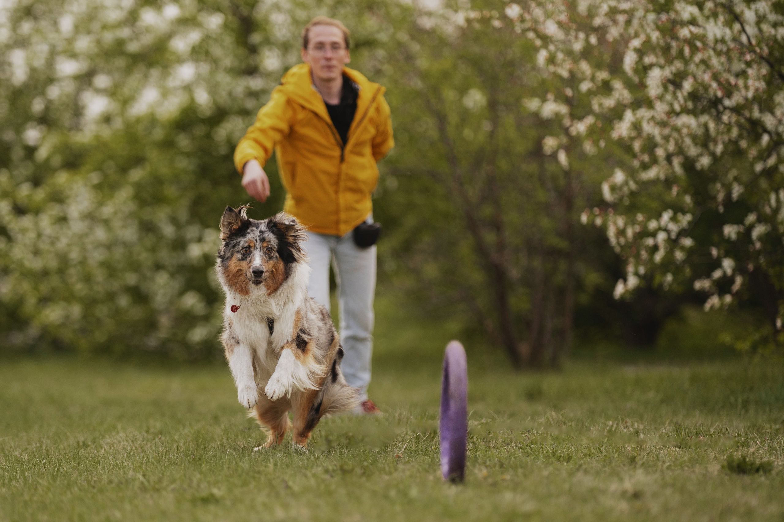 Николай и его девчонки. Kameramotor74