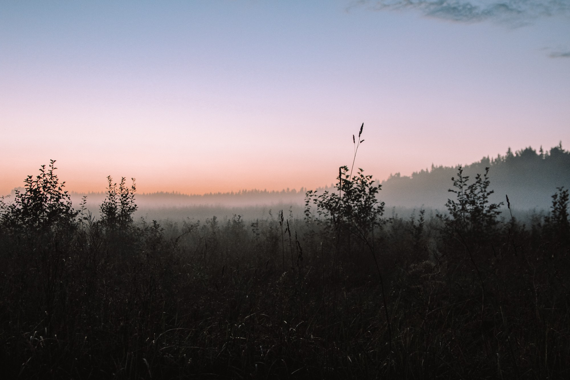 Природа. Андреева Полина l Портретный фотограф в Москве