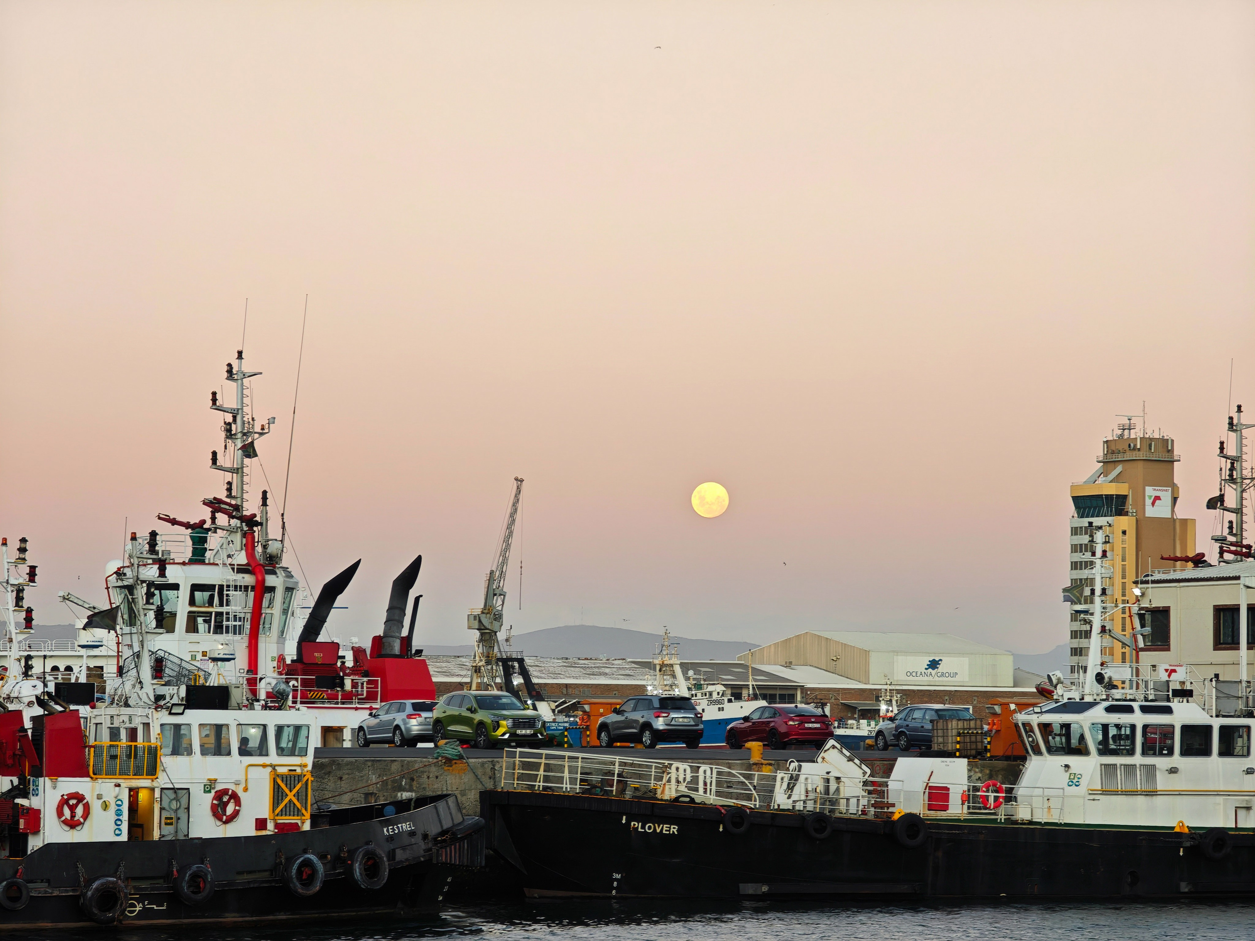 Морские котики и закат. Фотографии из путешествий