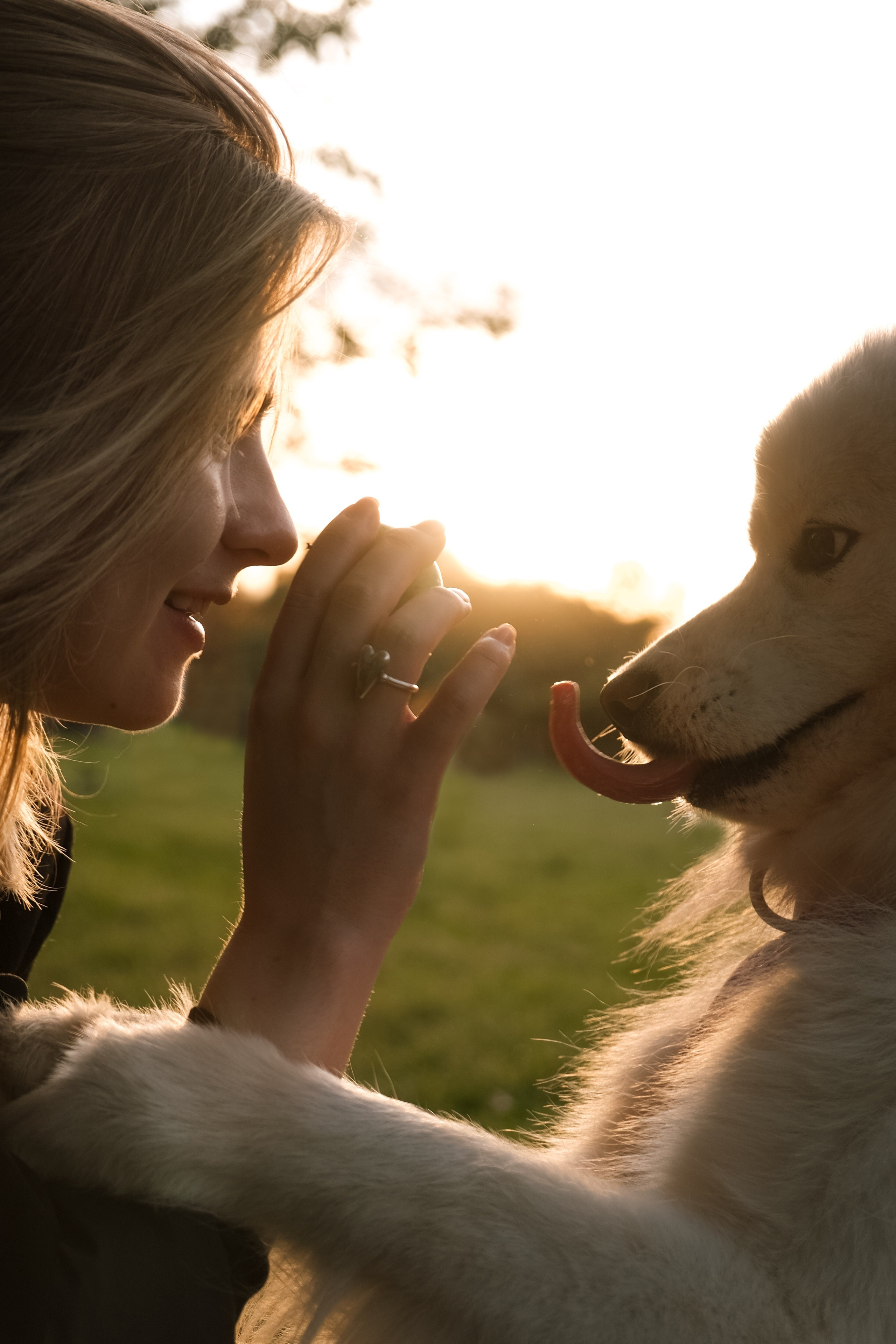 Animalism. Nataresso | фотограф Москва