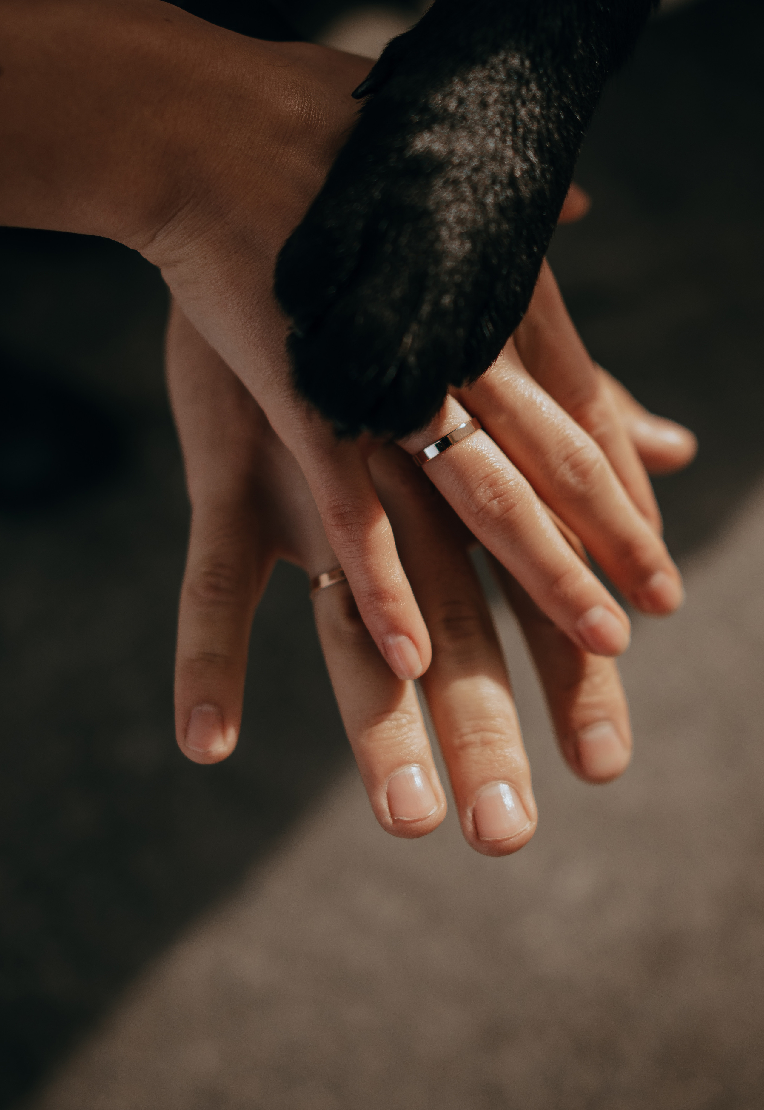 Богдан и Ульяна. Ирина Гонтарева|Фотограф|Белгород