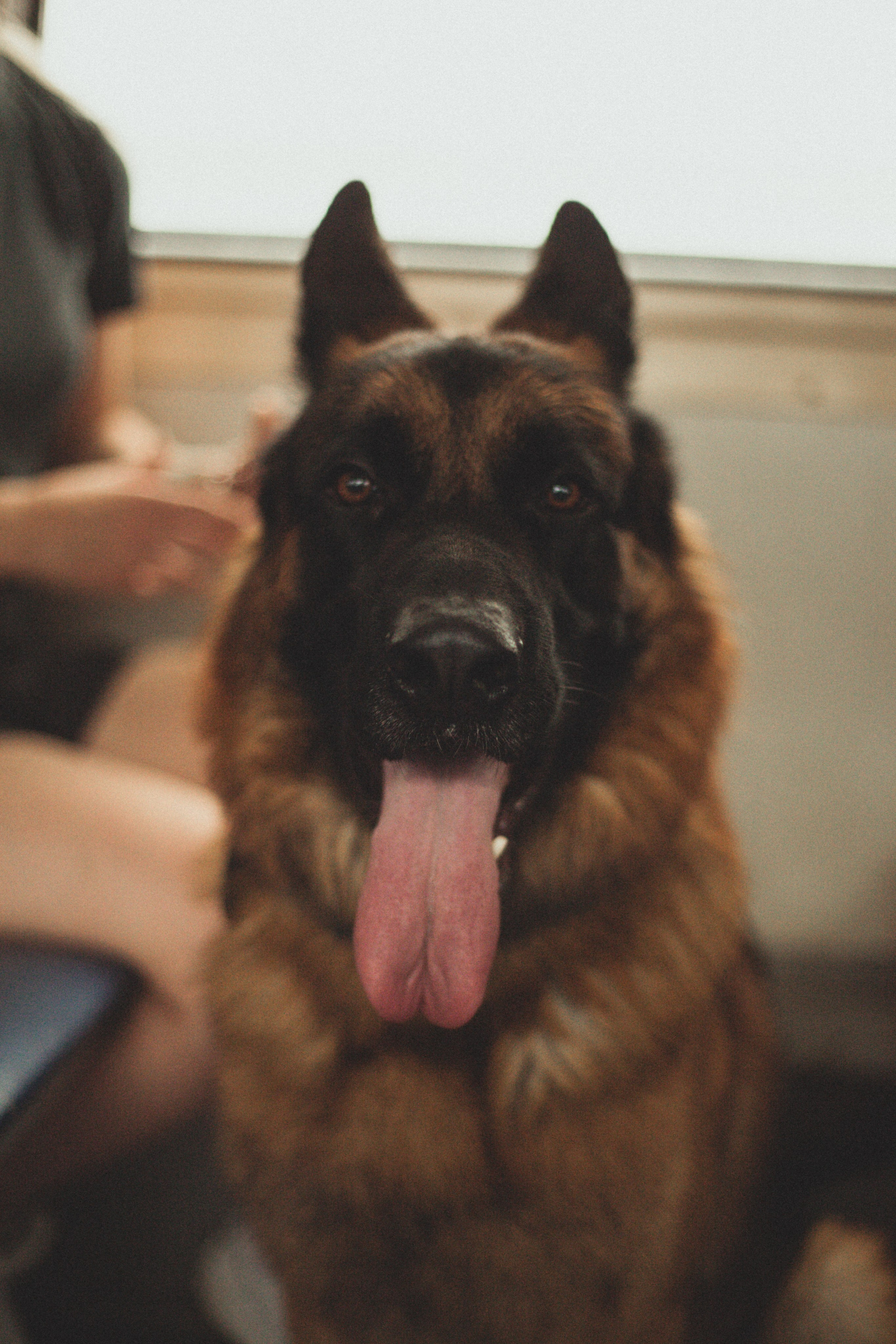 Таня с Байтом. Женский портрет в Нижнем Новгороде Татьяна Малюгина
