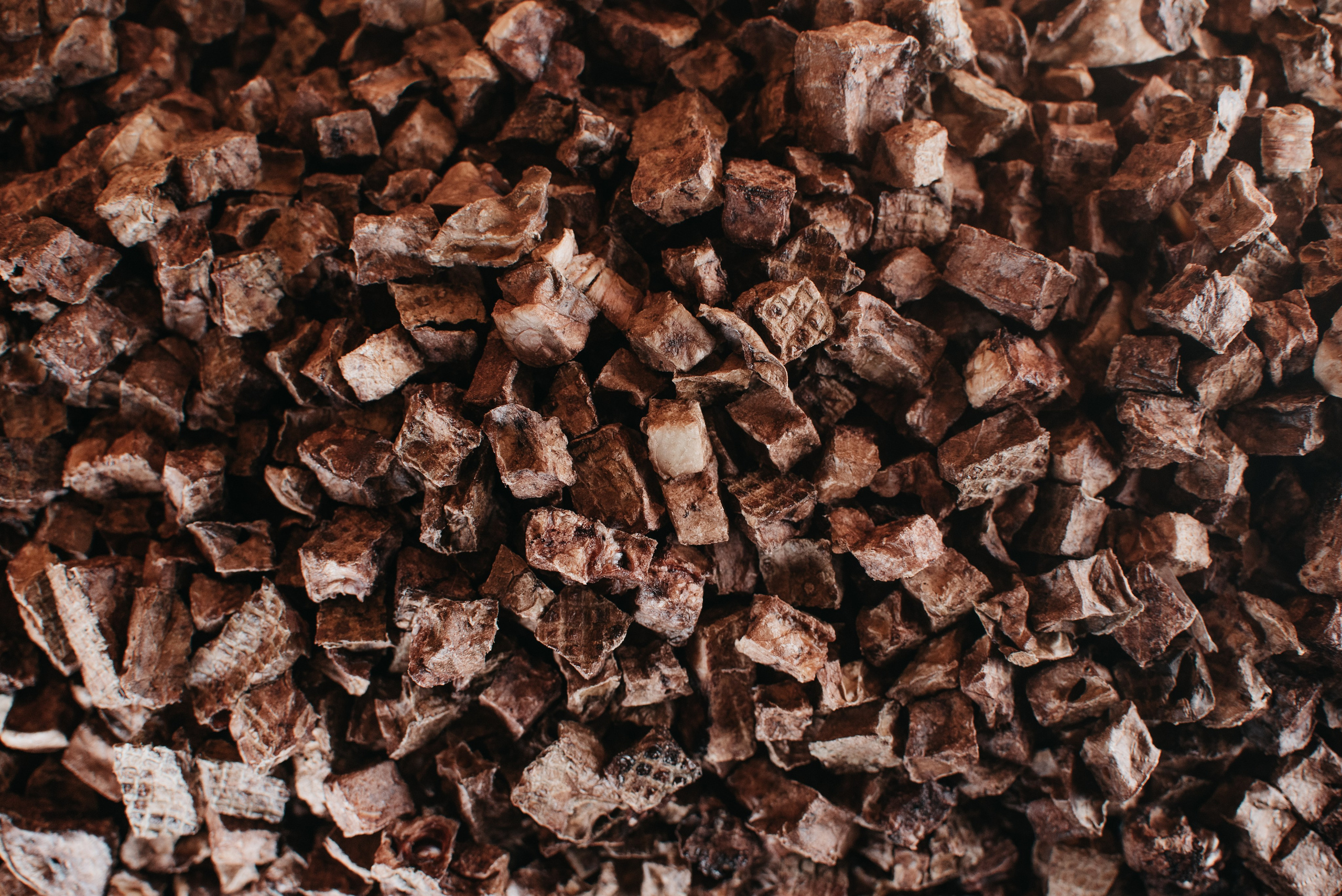 Dog Bone лакомства. Фотограф-анималист Валерия, Москва, Мытищи