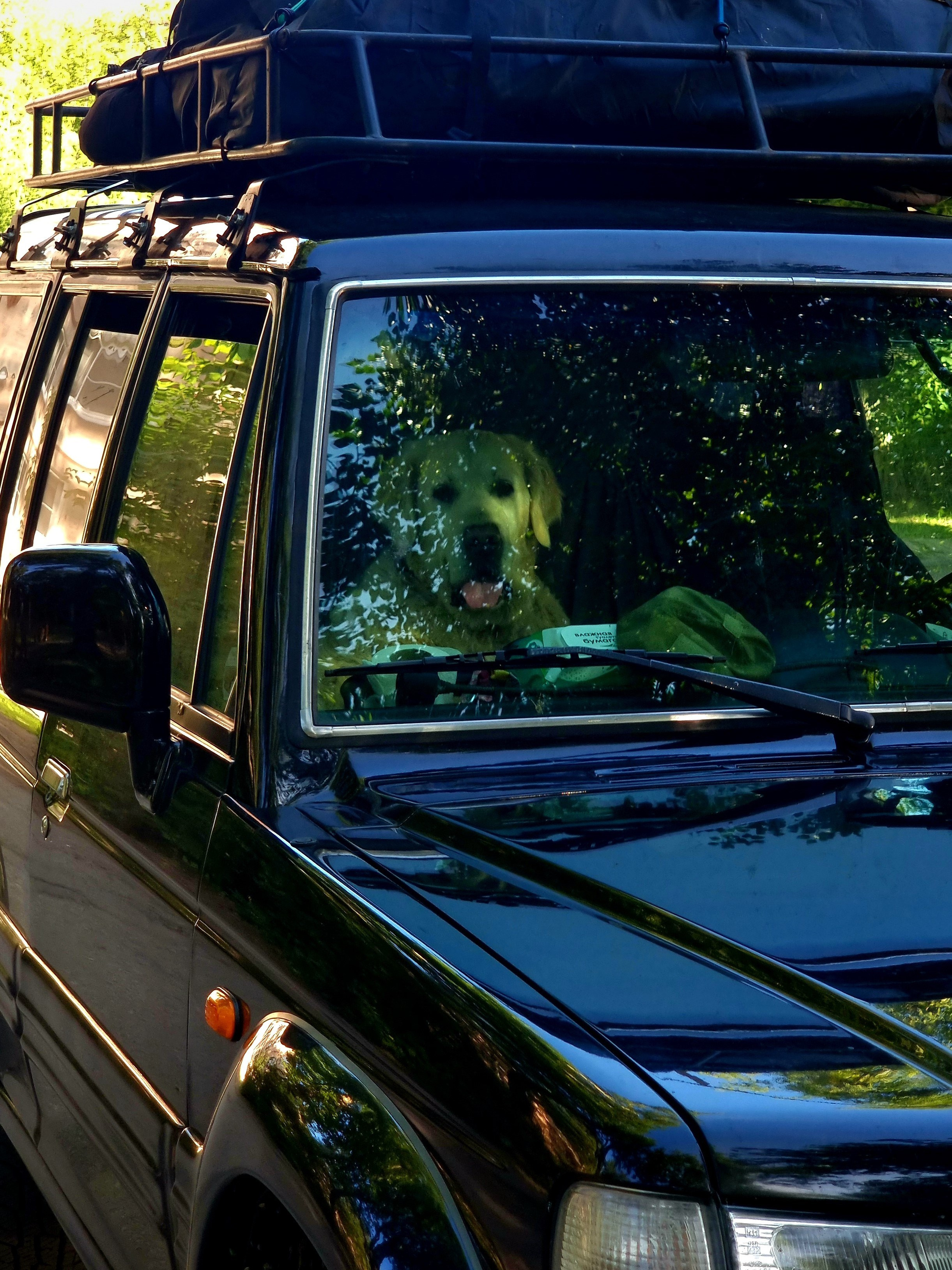 Июль 2025. Den Mirov — Фотограф, Музыкант