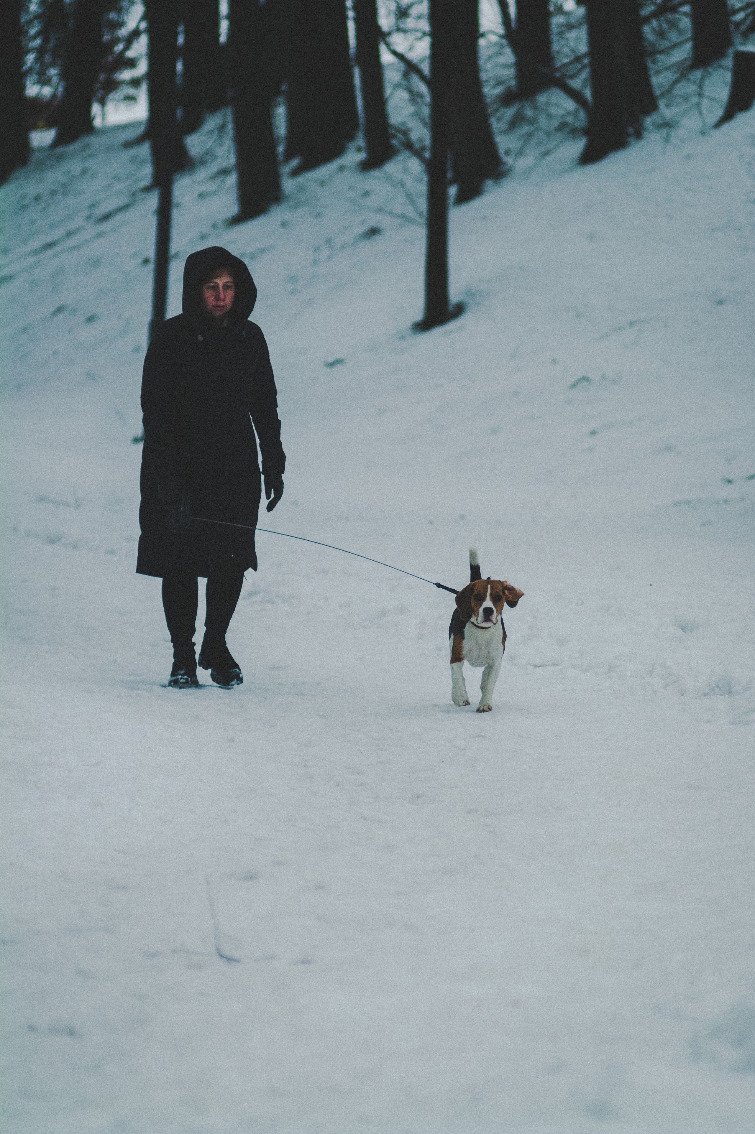 Colleague. Den Mirov — Photographer, Musician