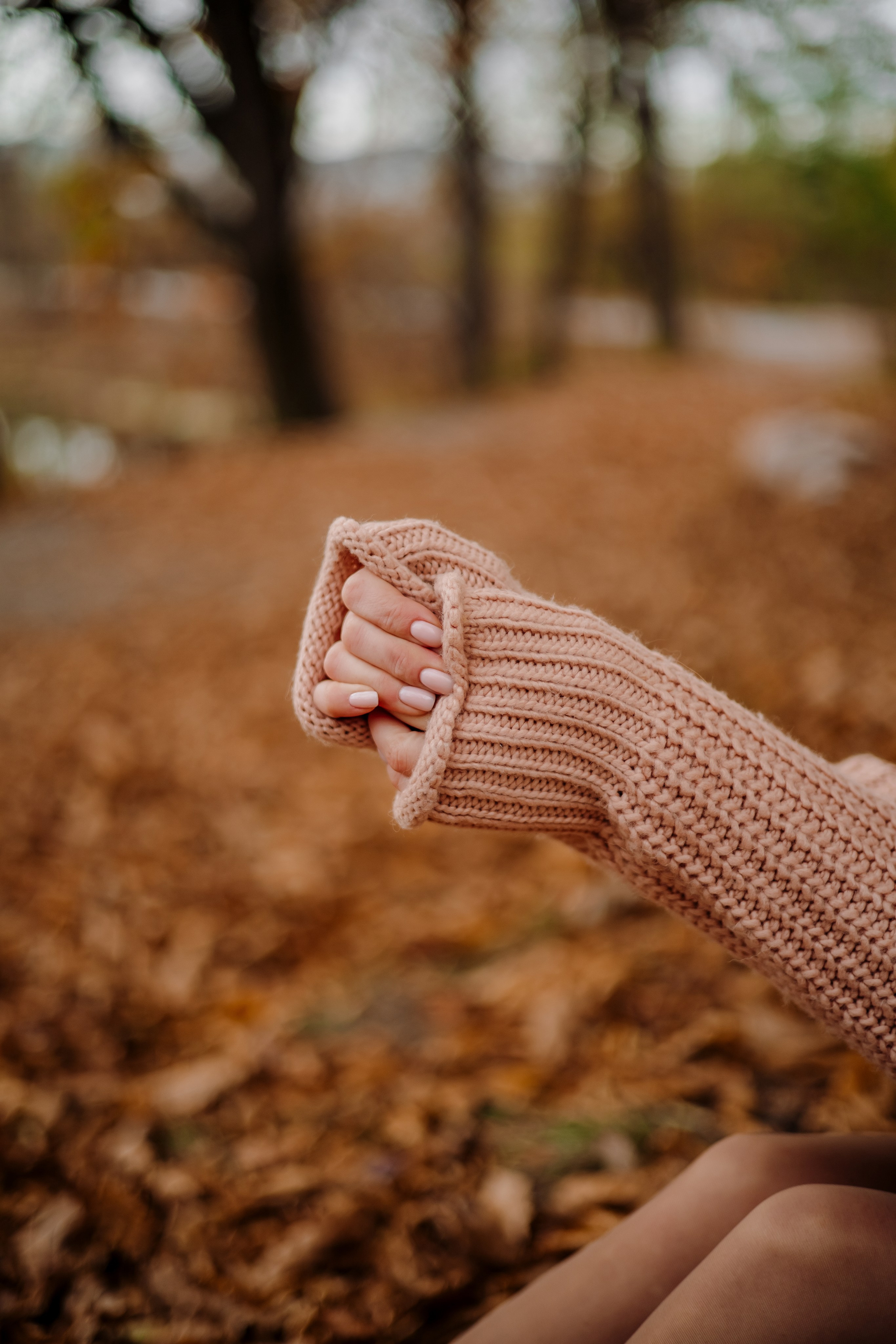 Осень. Фотограф Ирина Калиниченко