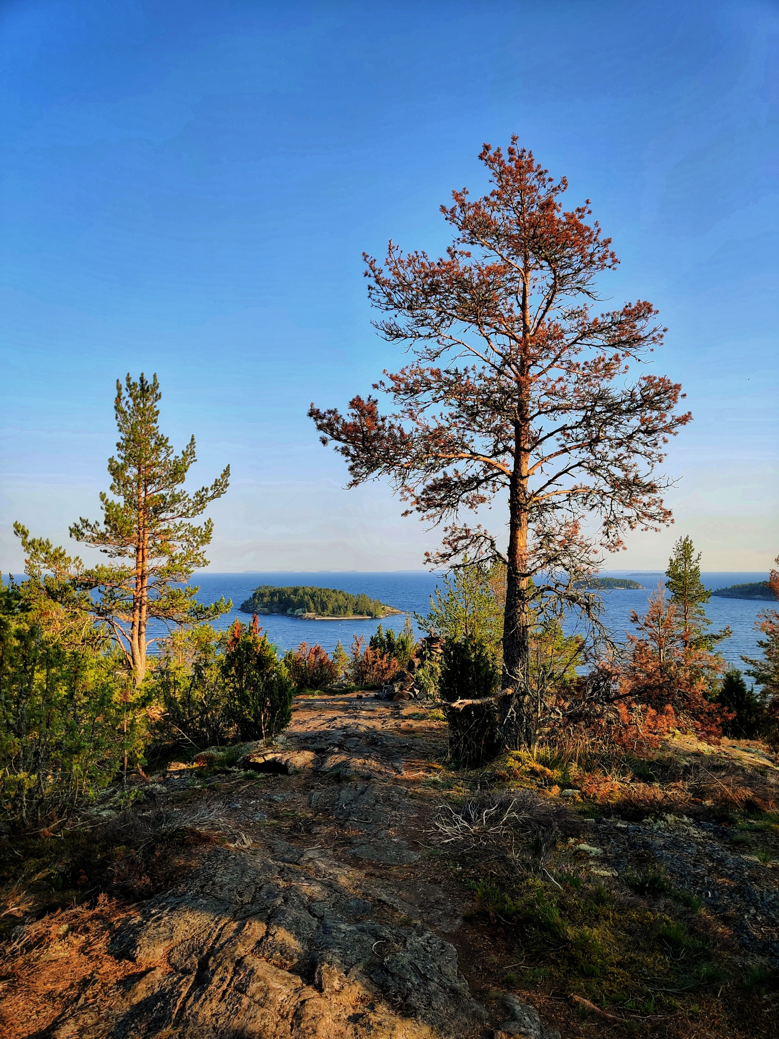 Путешествие по Карелии: Ладожские шхеры, закаты и дикая природа | Летние фото в августе