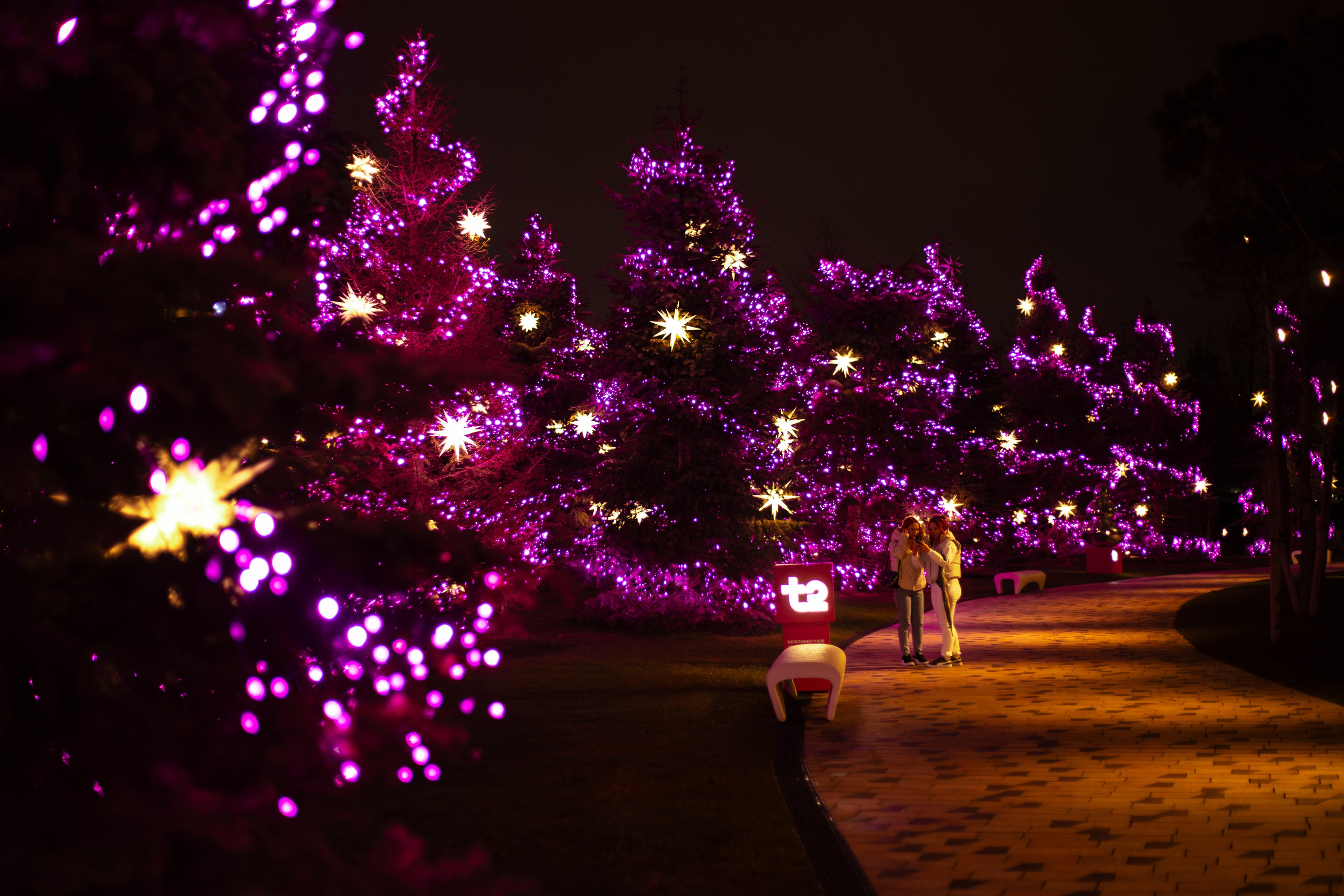 Т2. Фотограф Алиса Лисицына