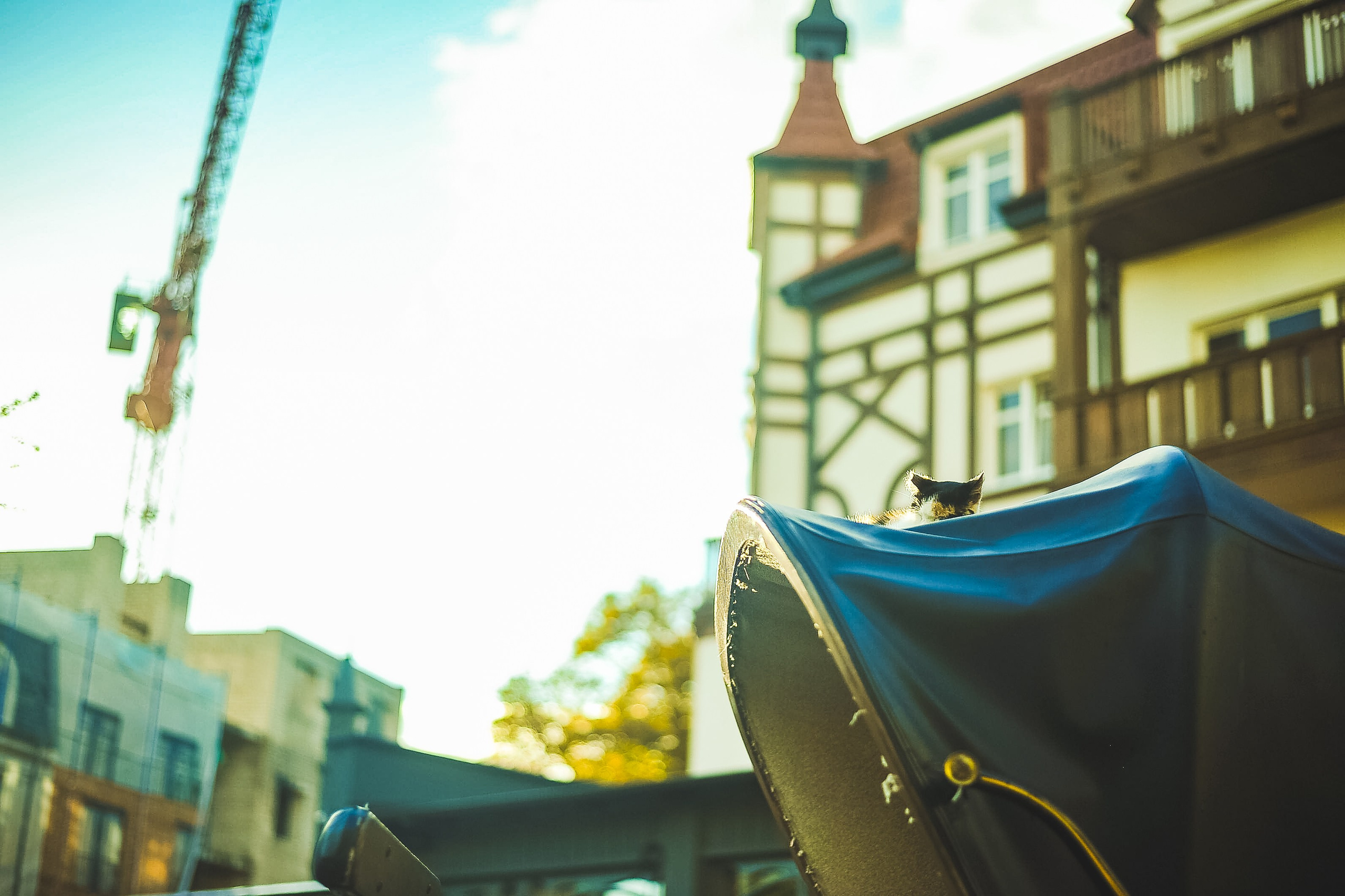 Прогулка. Элька Мурзина