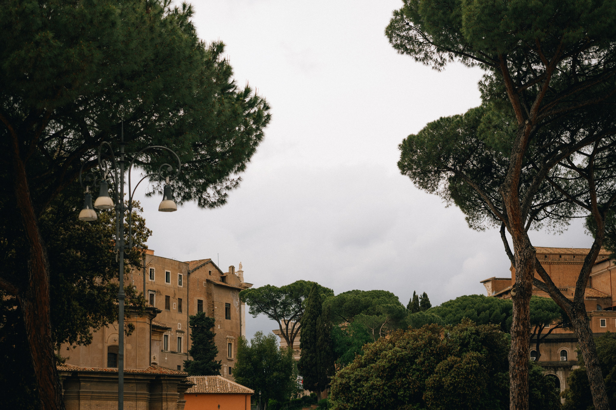 ROMA. Свадебный и семейный фотограф Никита Корохов