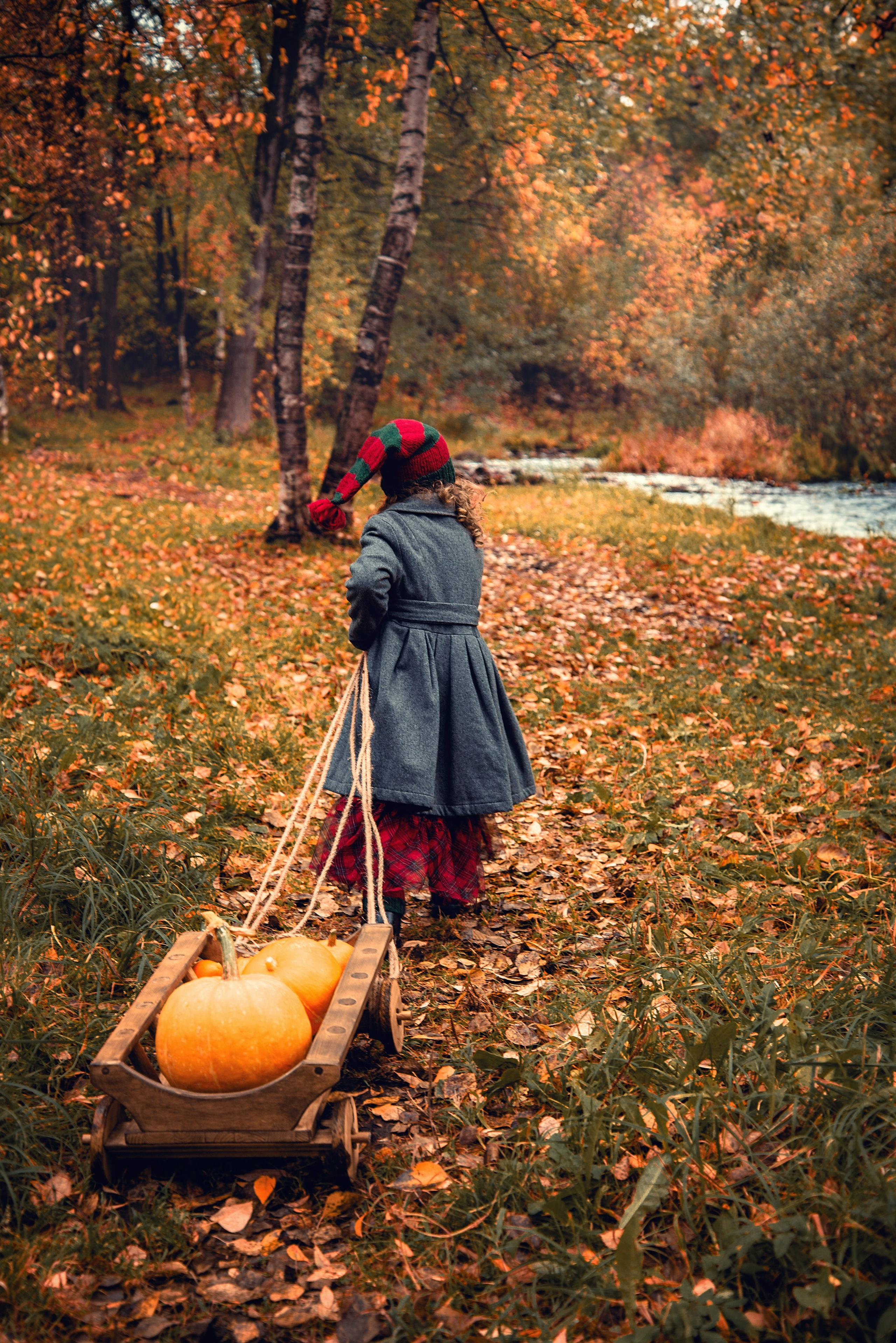 Дети. Фотограф в Петрозаводске BellaDonna