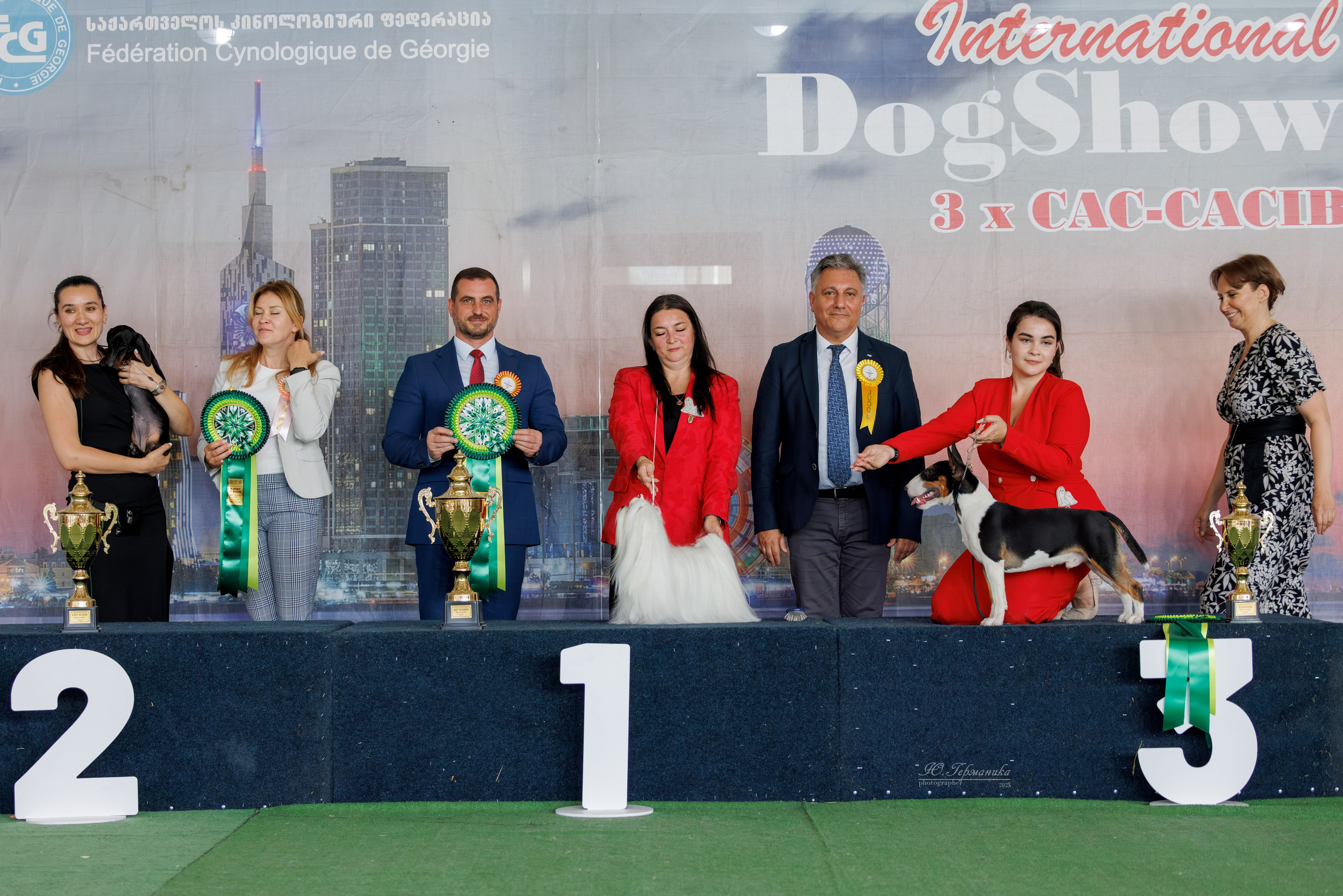 Батуми 3хCACIB 27-29.06.2025. Фотограф-анималист Юлия Германика