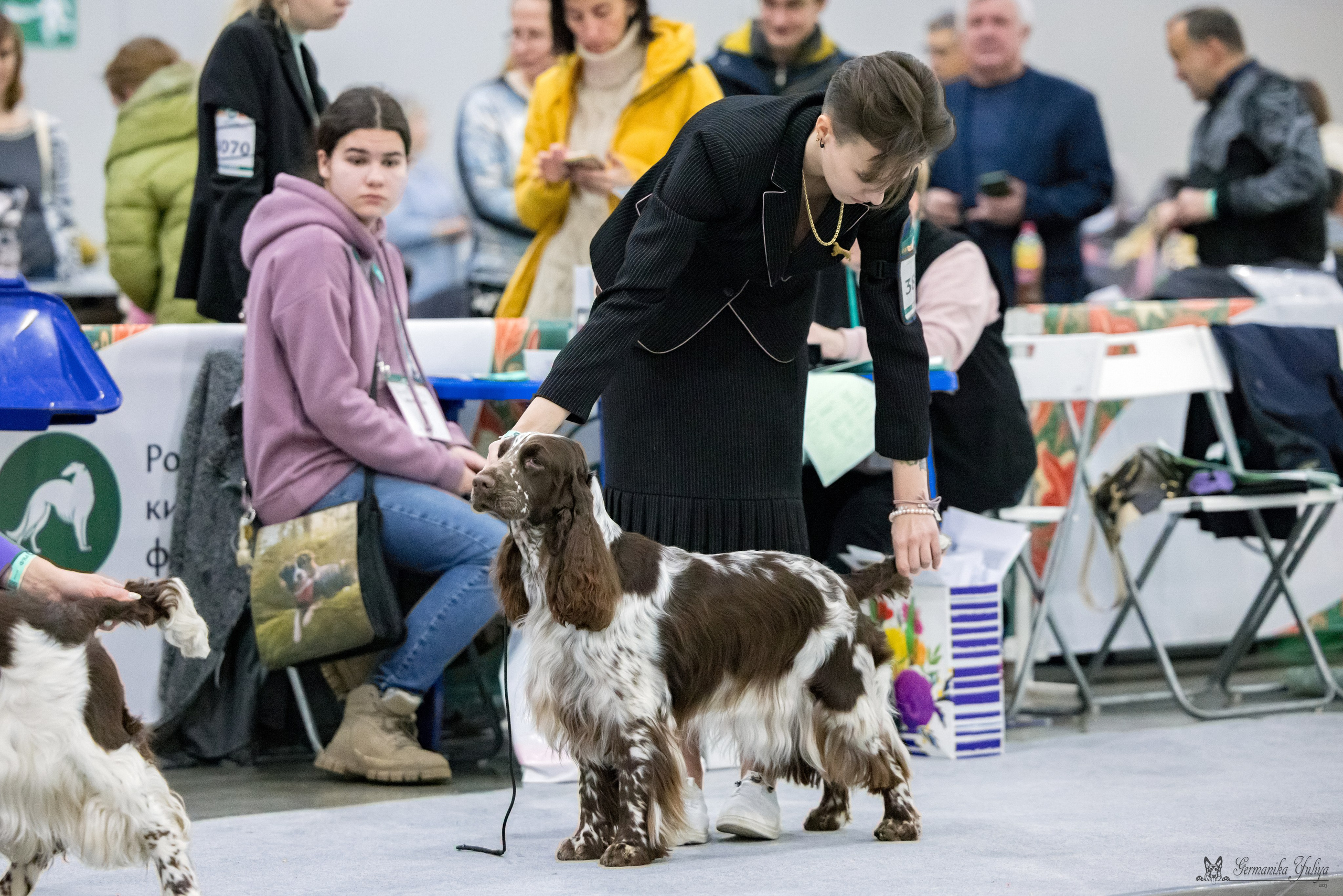 ЕВРАЗИЯ 18-19.11.2023. Фотограф-анималист Юлия Германика