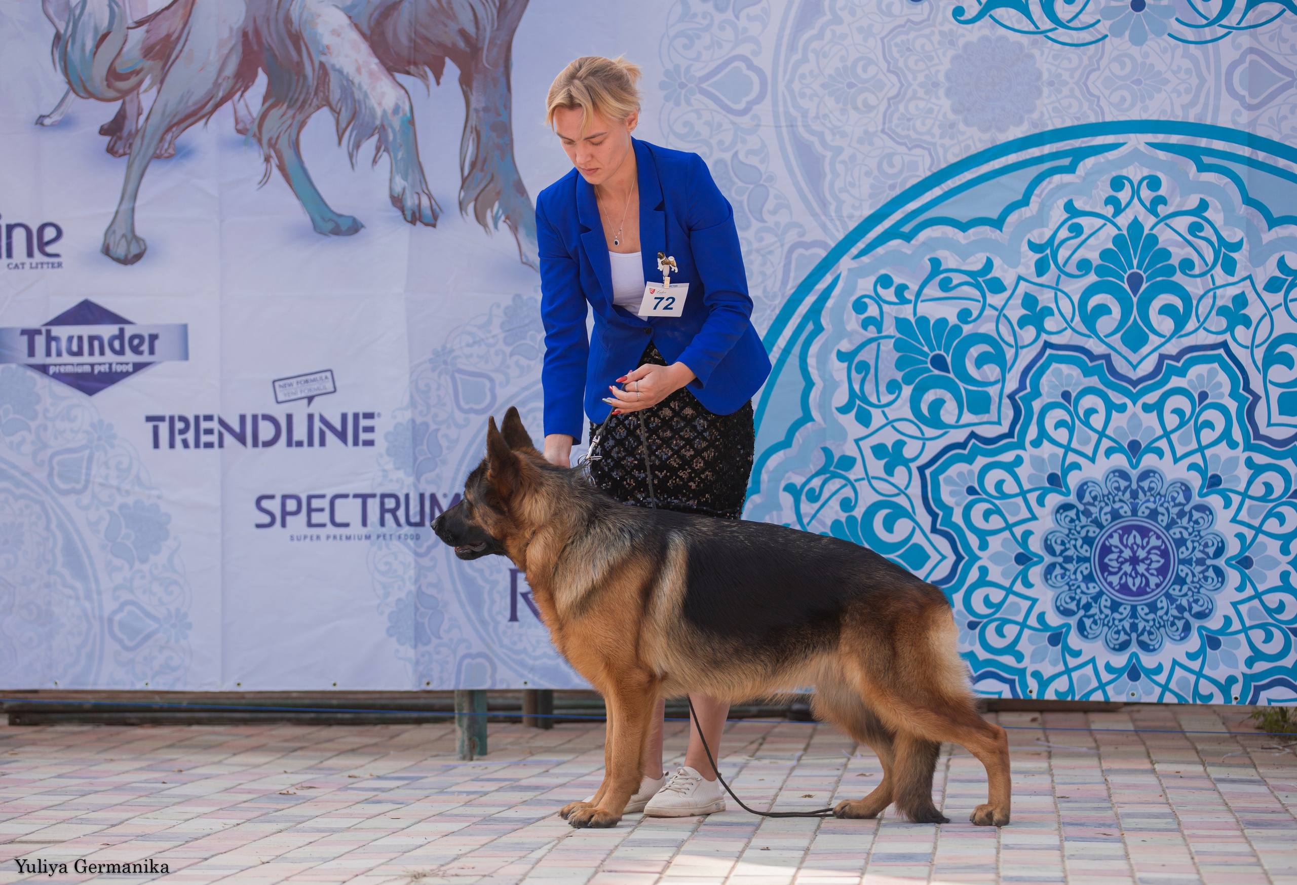 Ташкент 6-8.10.2023 + Алматы 14-15.10.2023. Фотограф-анималист Юлия Германика