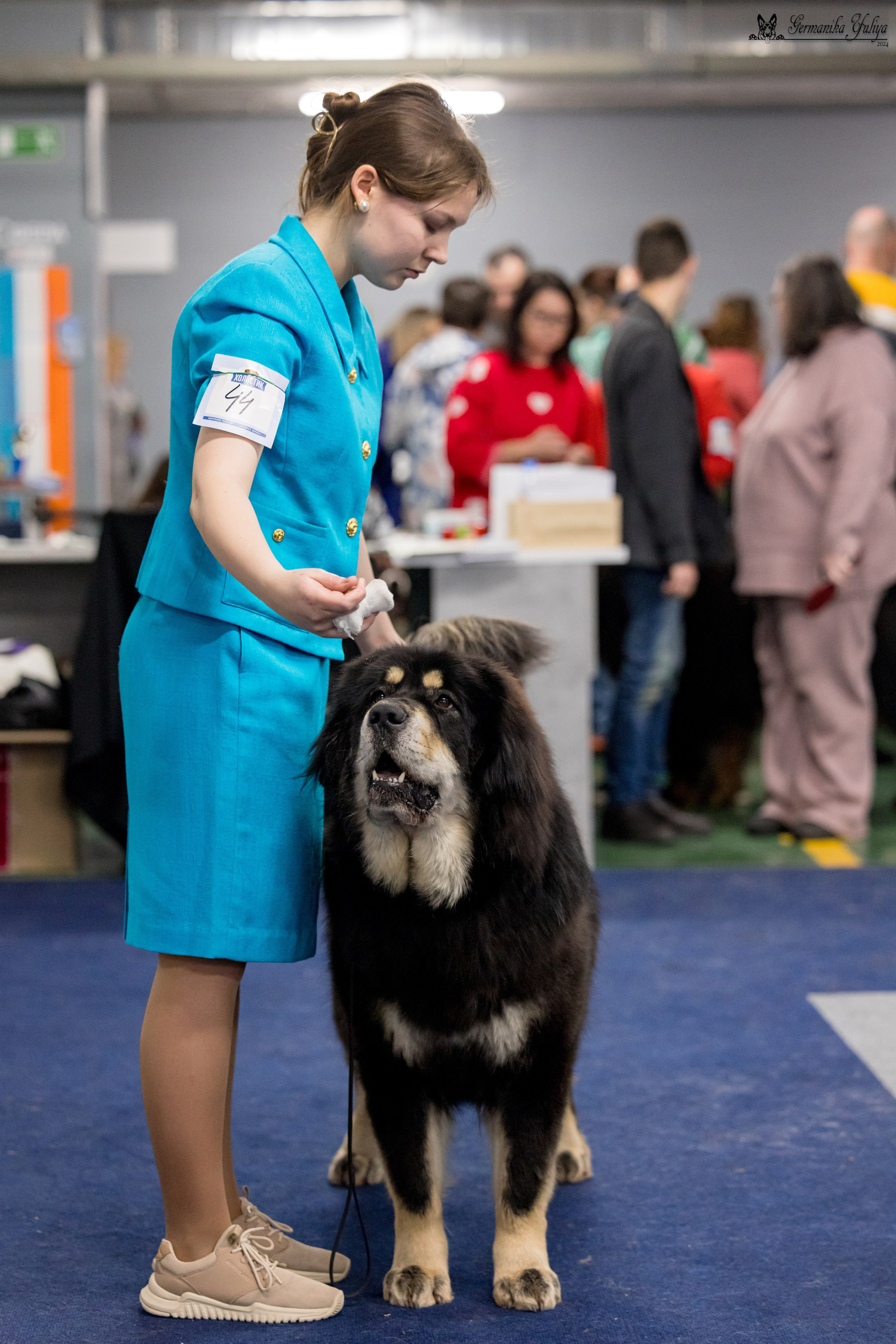 Сфера 28.01. и 4.02.2024. Фотограф-анималист Юлия Германика