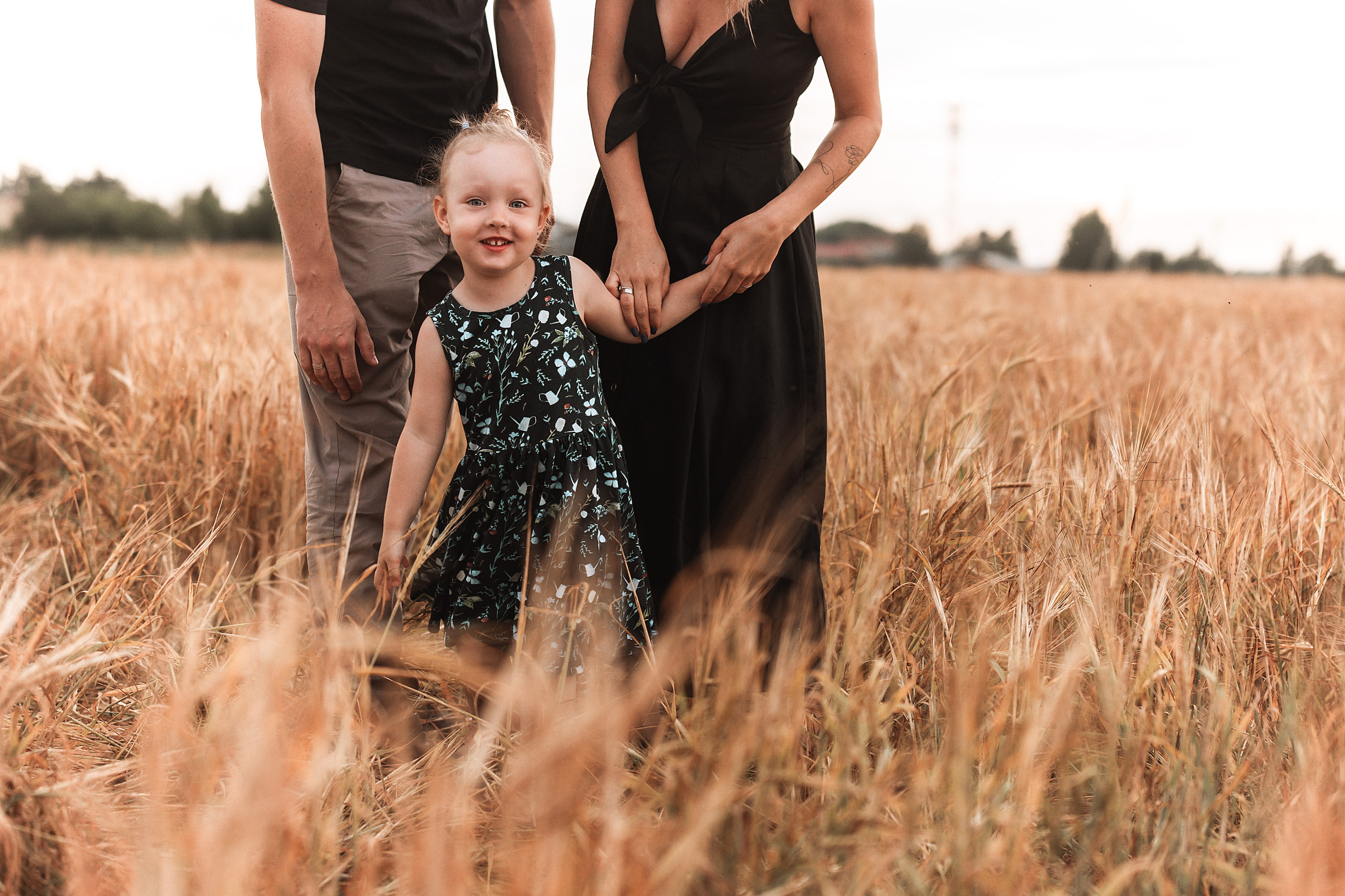 Летнее поле. Кристина Ветрова | ФОТОГРАФ | Москва