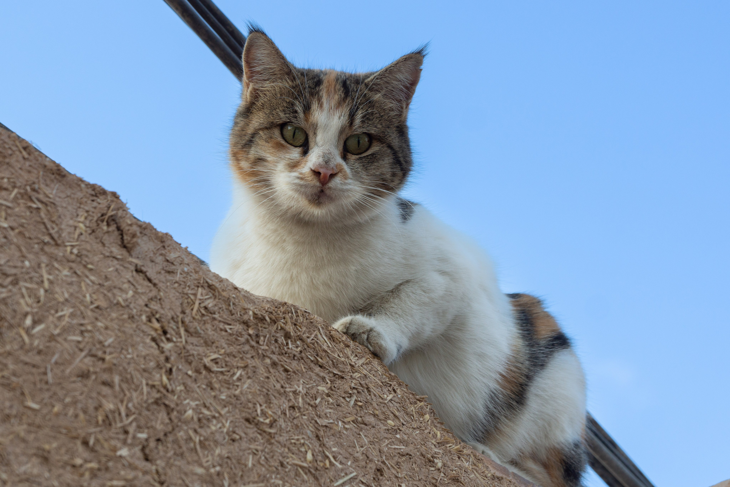 Иран. Фотограф-путешественник Самойлов Максим «Sly Fox»