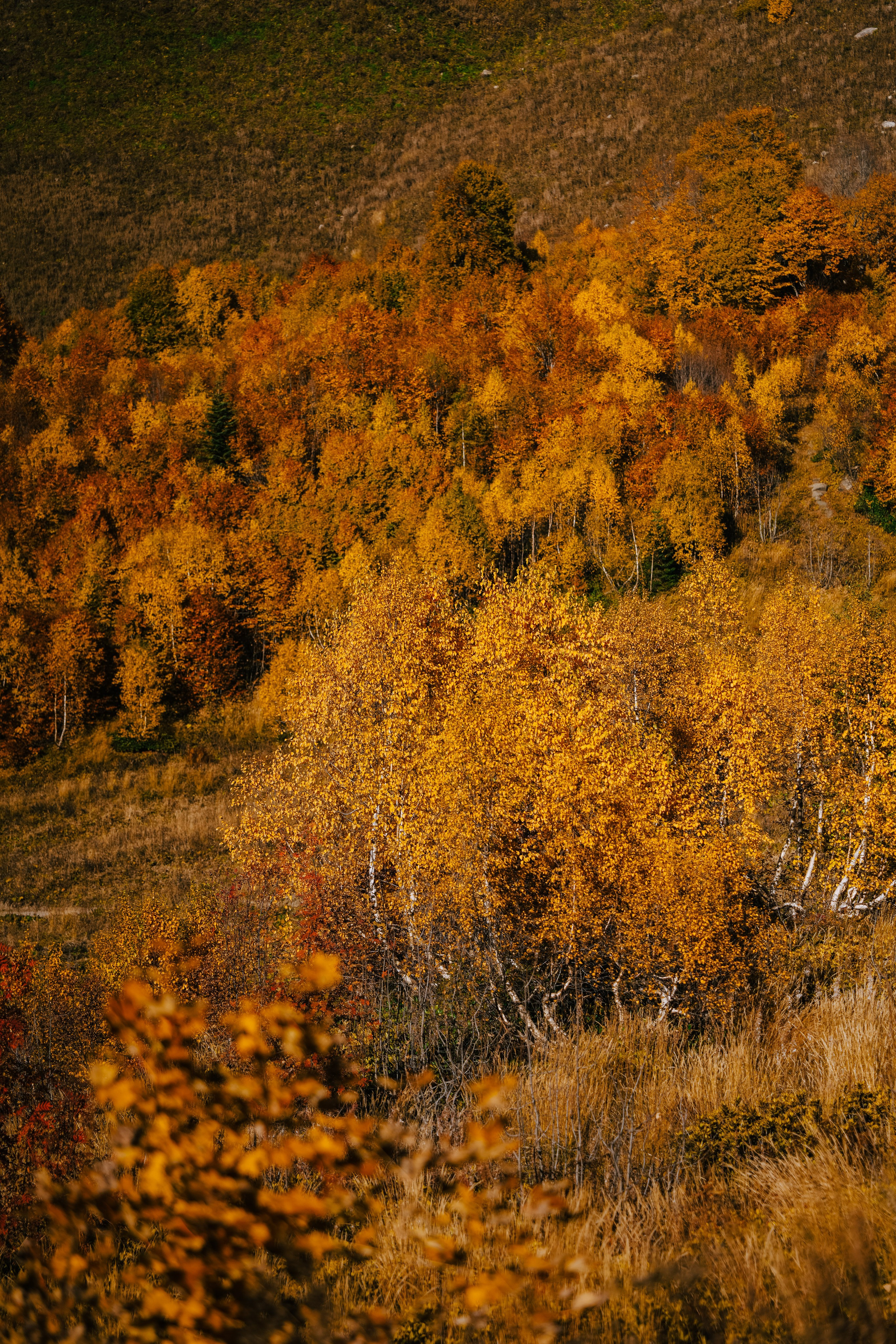 Роза Пик, тропа Турья ✽ Октябрь. Репортажный фотограф | Роза Хутор Красная Поляна Сочи Сириус