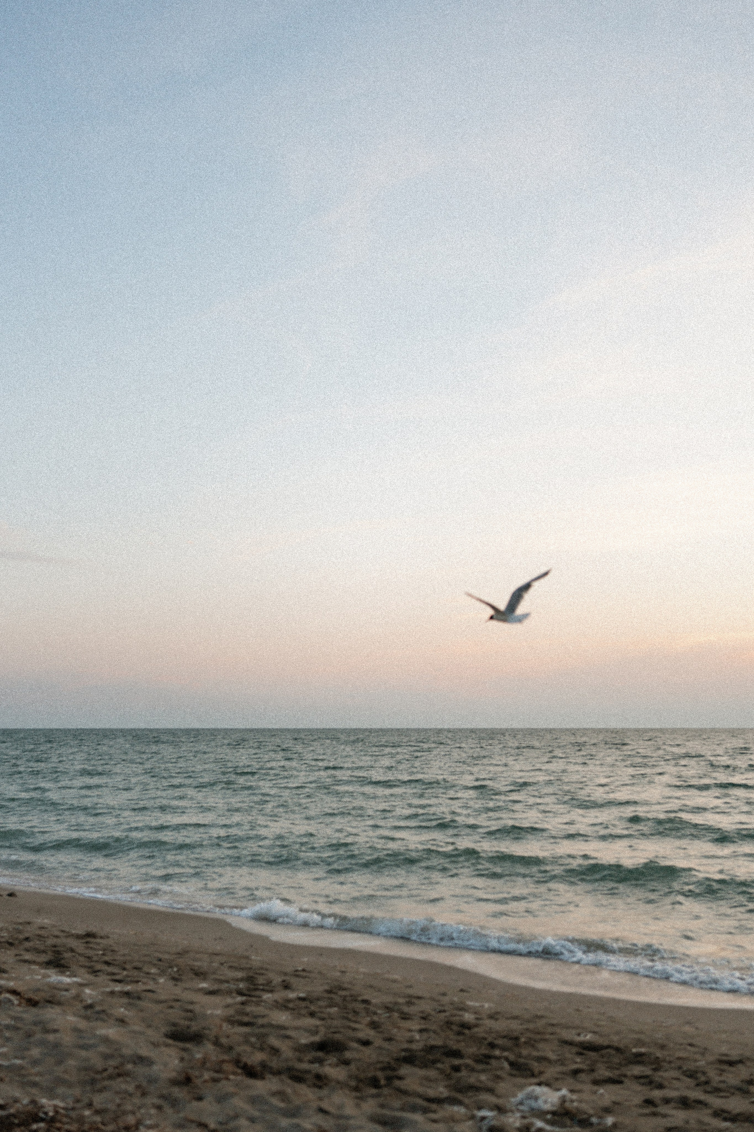 Z&A. Фотограф и Видеограф Севастополь Крым