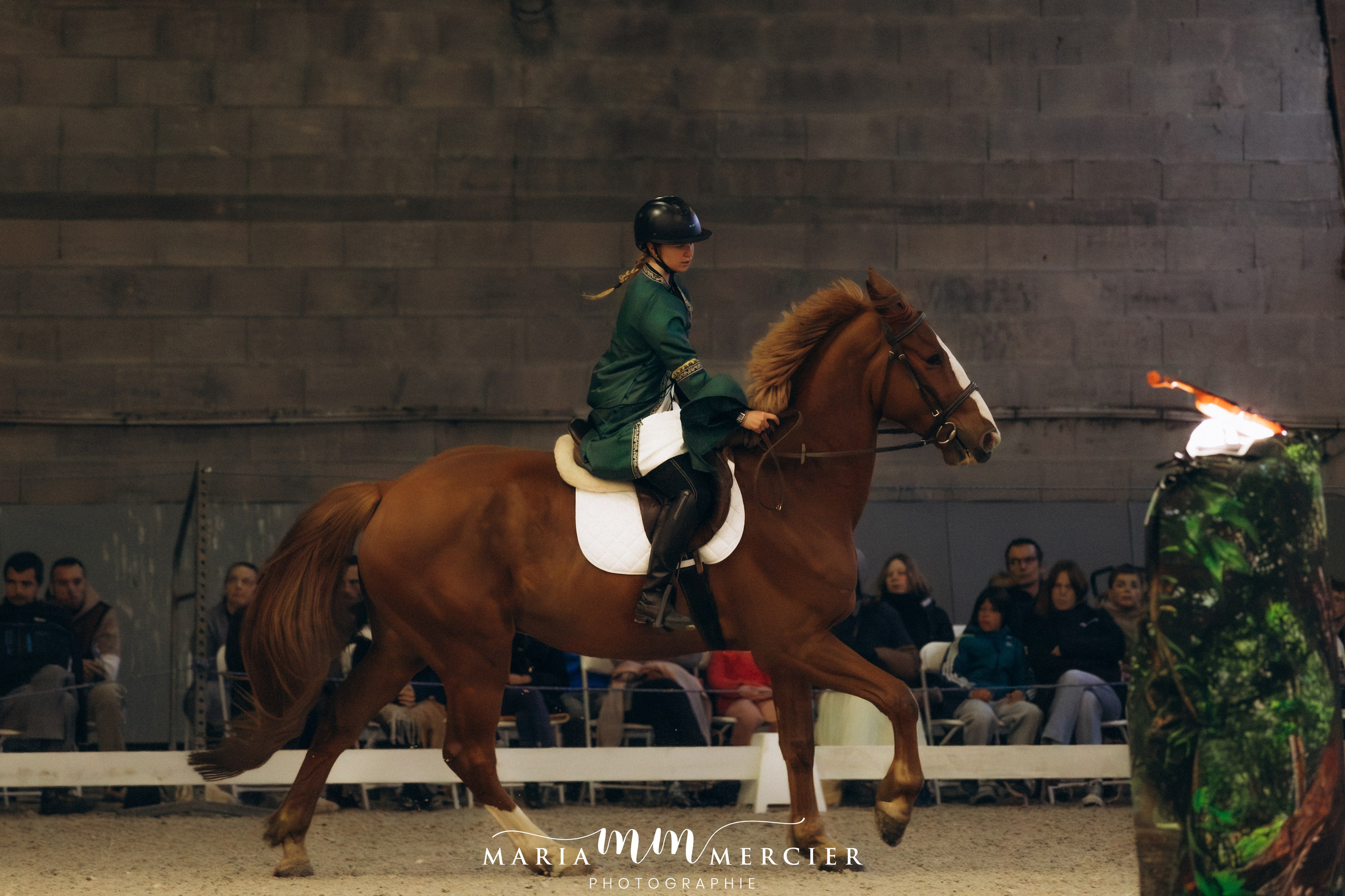Evènements. Photographe des familles et enfants à Nantes et alentours