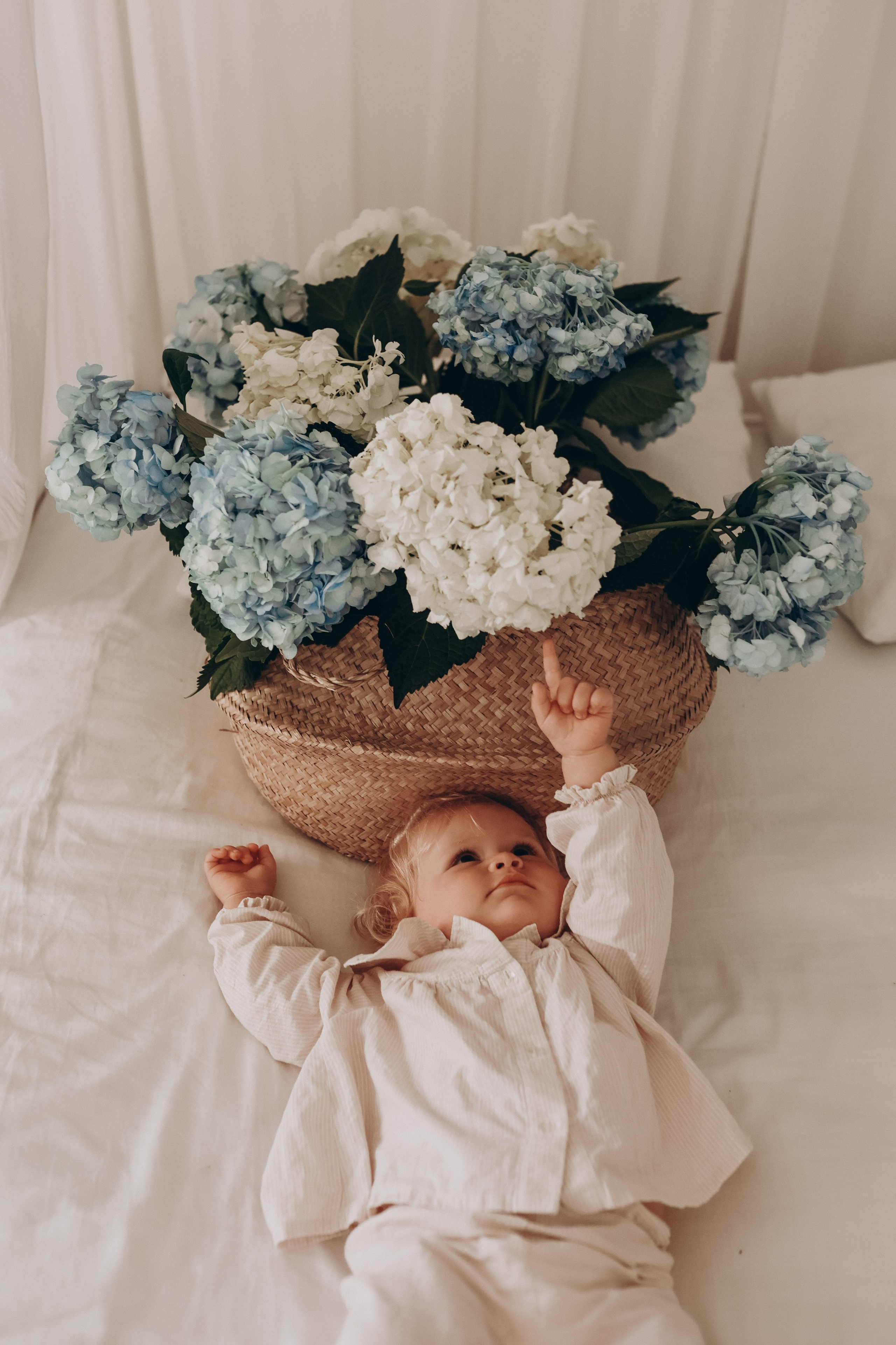 Ева и гортензии. Елена Гореликова фотограф в Москве