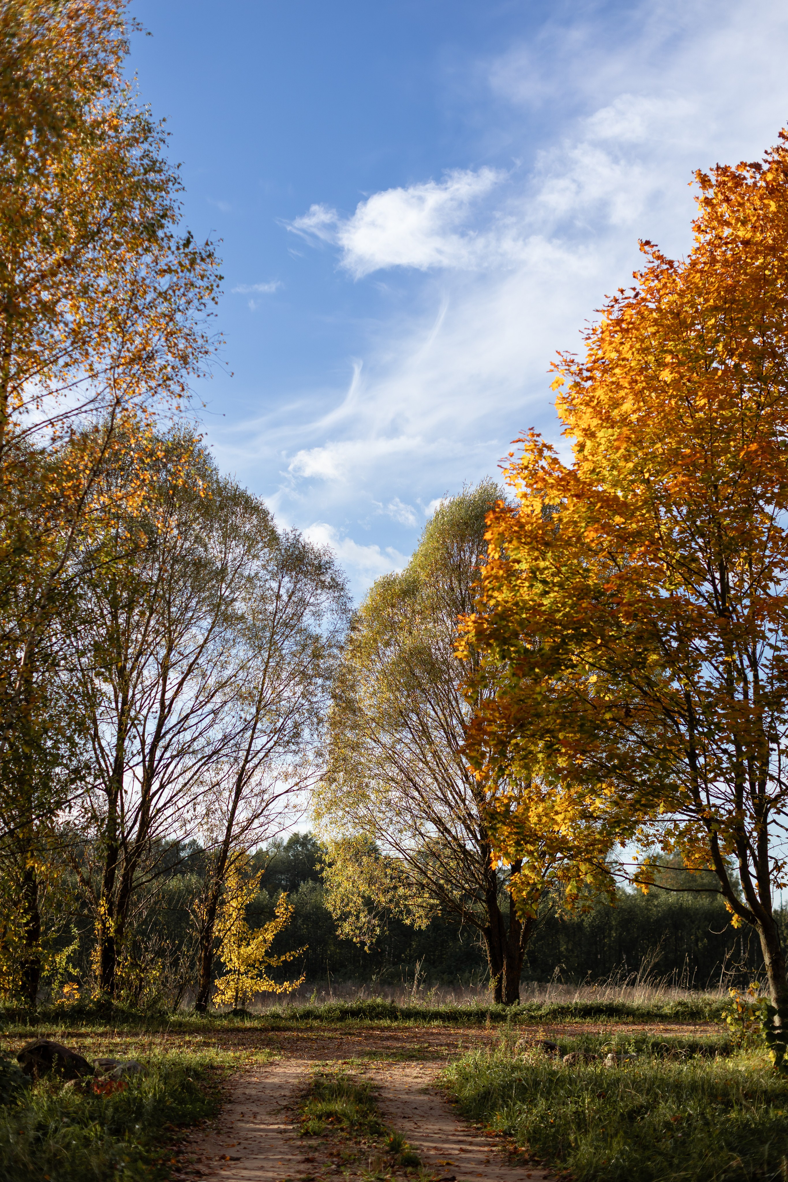 Маленькое начало большого проекта. Портретный фотограф в Минске Анна Волейко