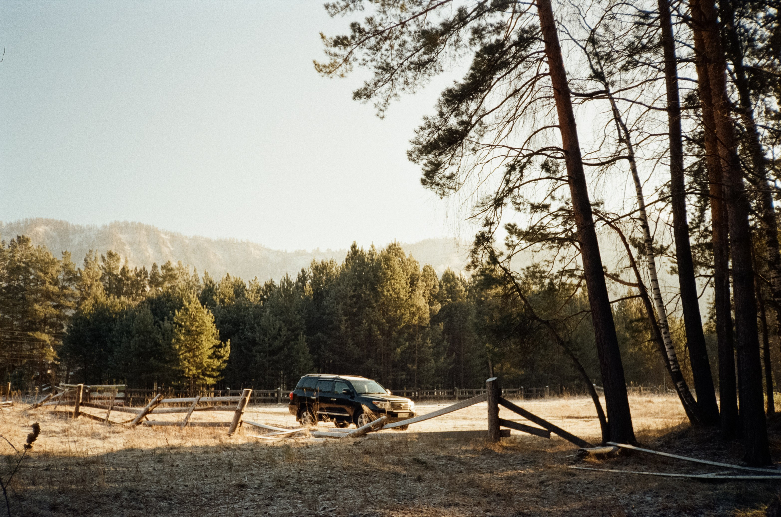 Дорога до Coffee Bus по Чемальскому тракту и Кедровый остров. Фотограф-документалист Мария Осокина