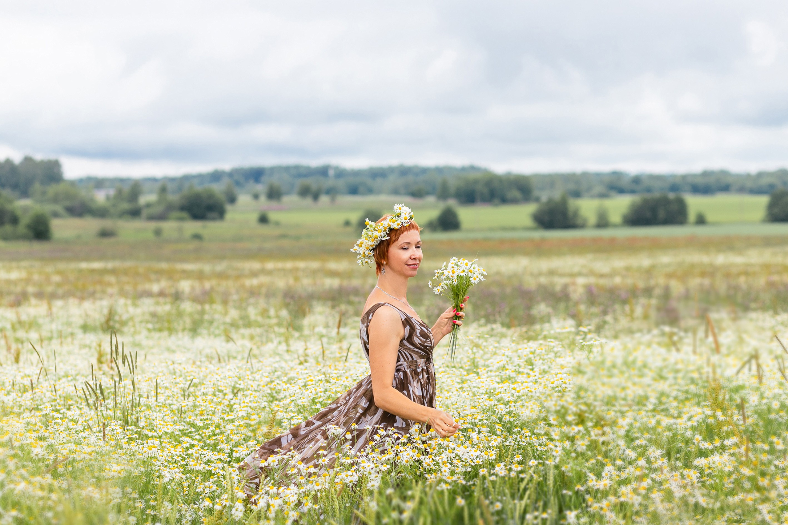 Ромашковый бриз