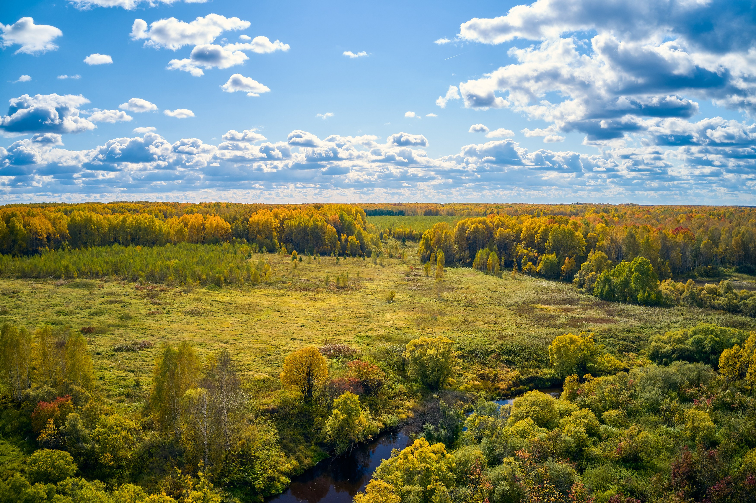 Съемка в полете. DMITRY MOISEENKO — фотограф, художник, топ-стилист