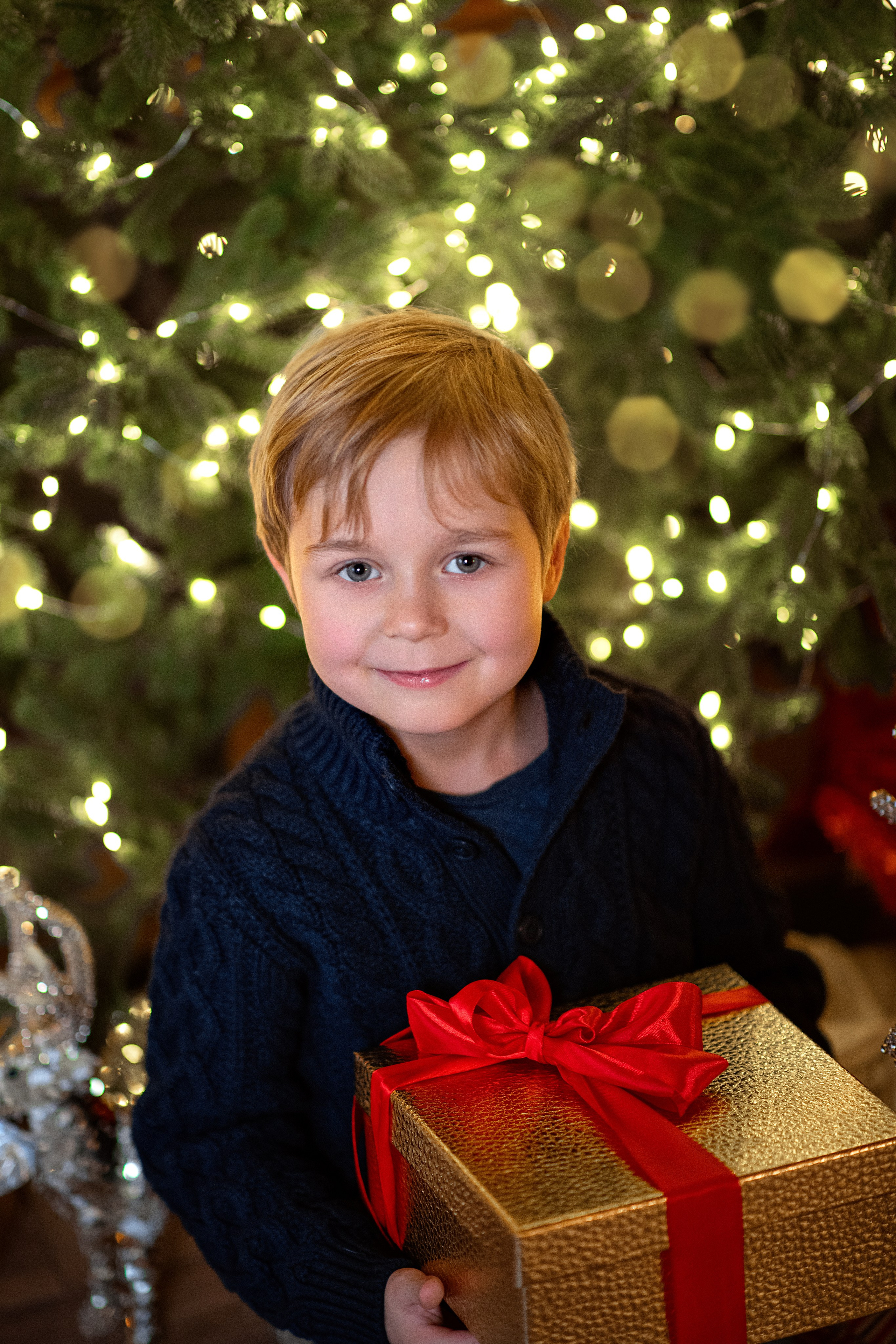 Семья Куксиных. Фотографии с душой. Фотограф Елена Паркер