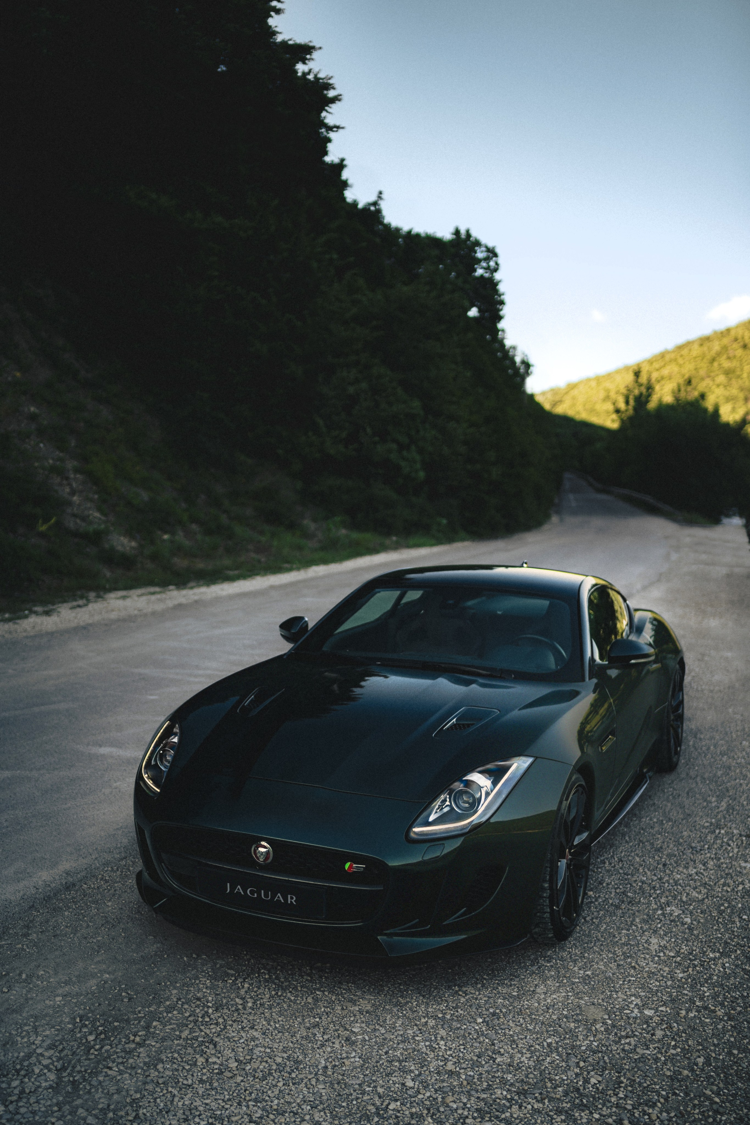Jaguar F-type S x Egor. Фотограф Илья К. в Москве