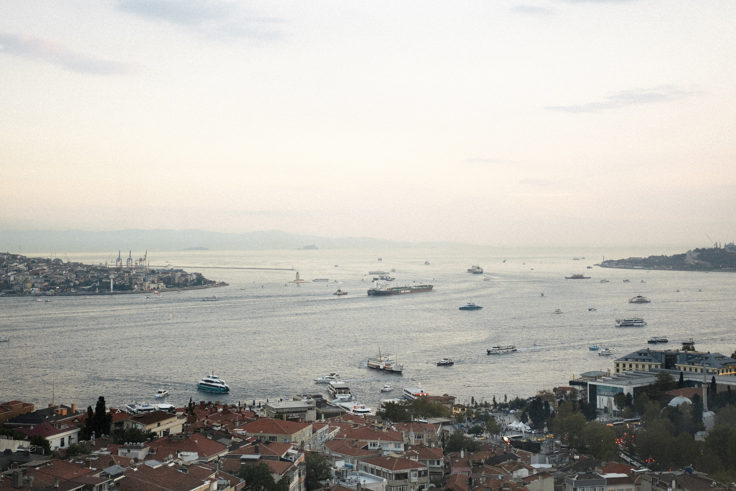 Даниэль и Виктория. Wedding and family photographer