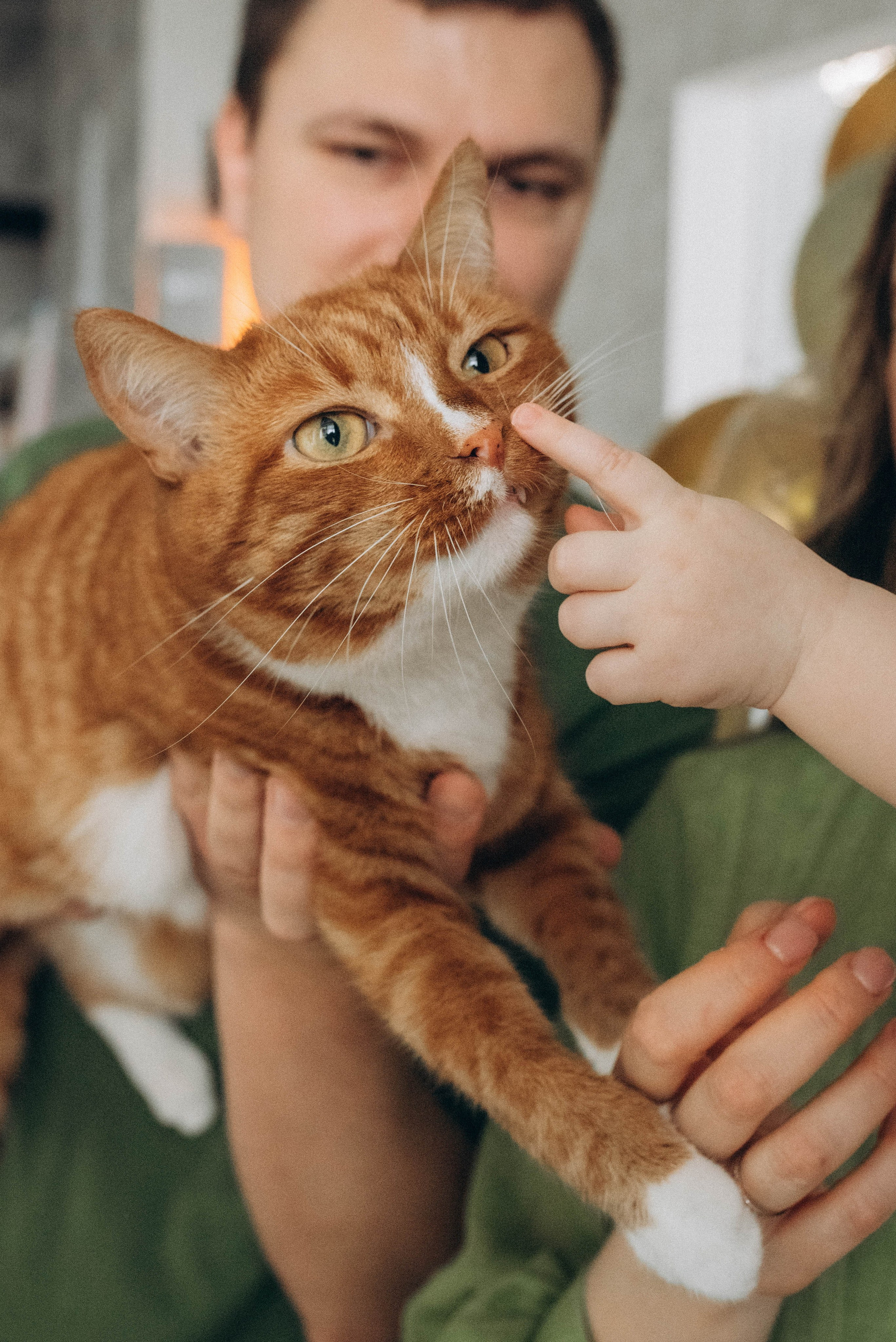Семейная фотосессия ко дню рождения малыша. Семейный фотограф в Железнодорожном Масаева Елена