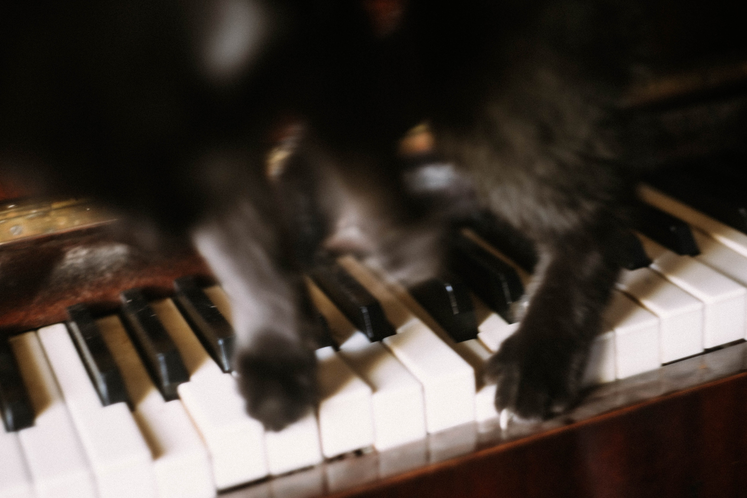 Кристи на крыше. Фотограф в Нижнем Новгороде