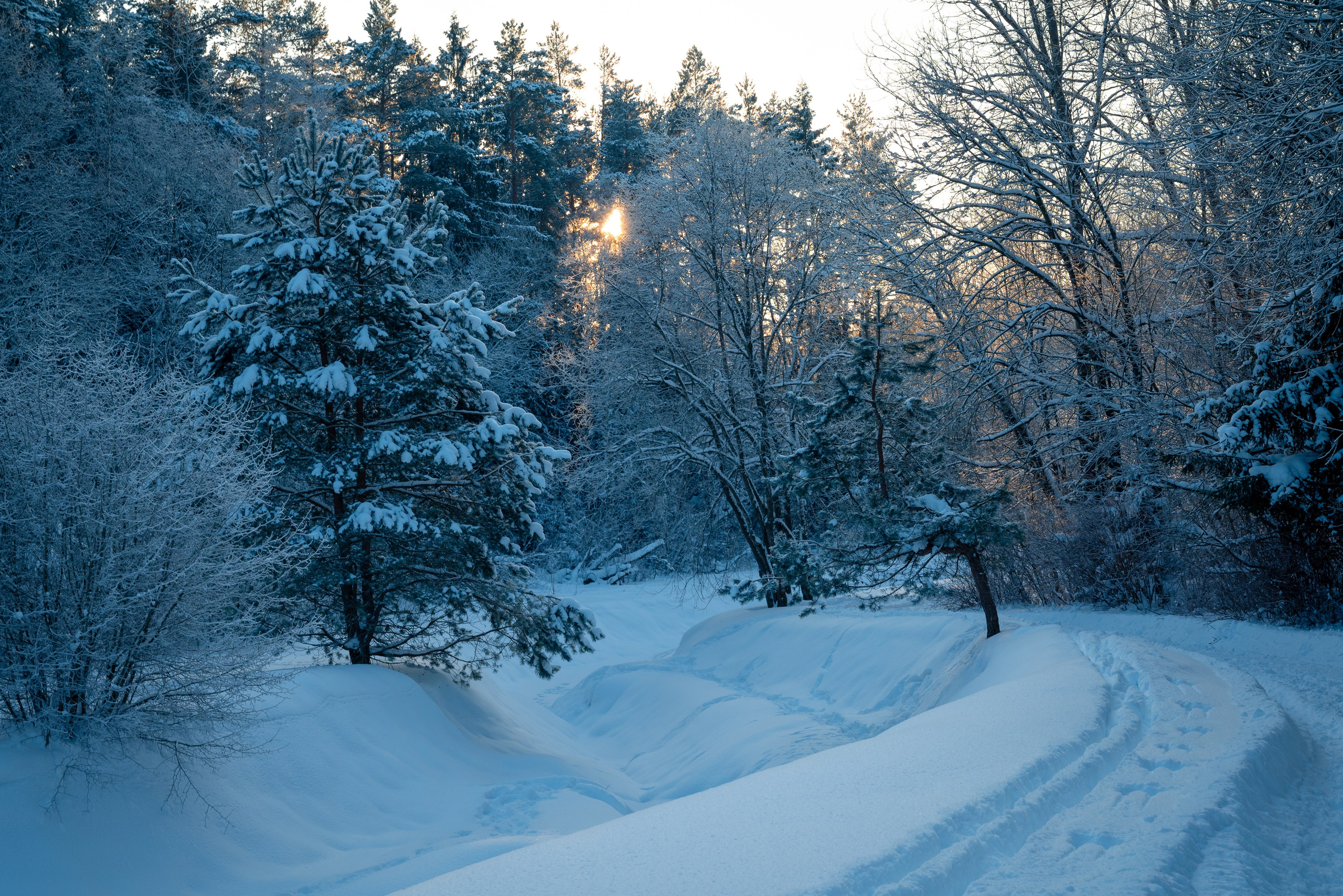 Места. Фотограф в Минске Дарья Кончакова