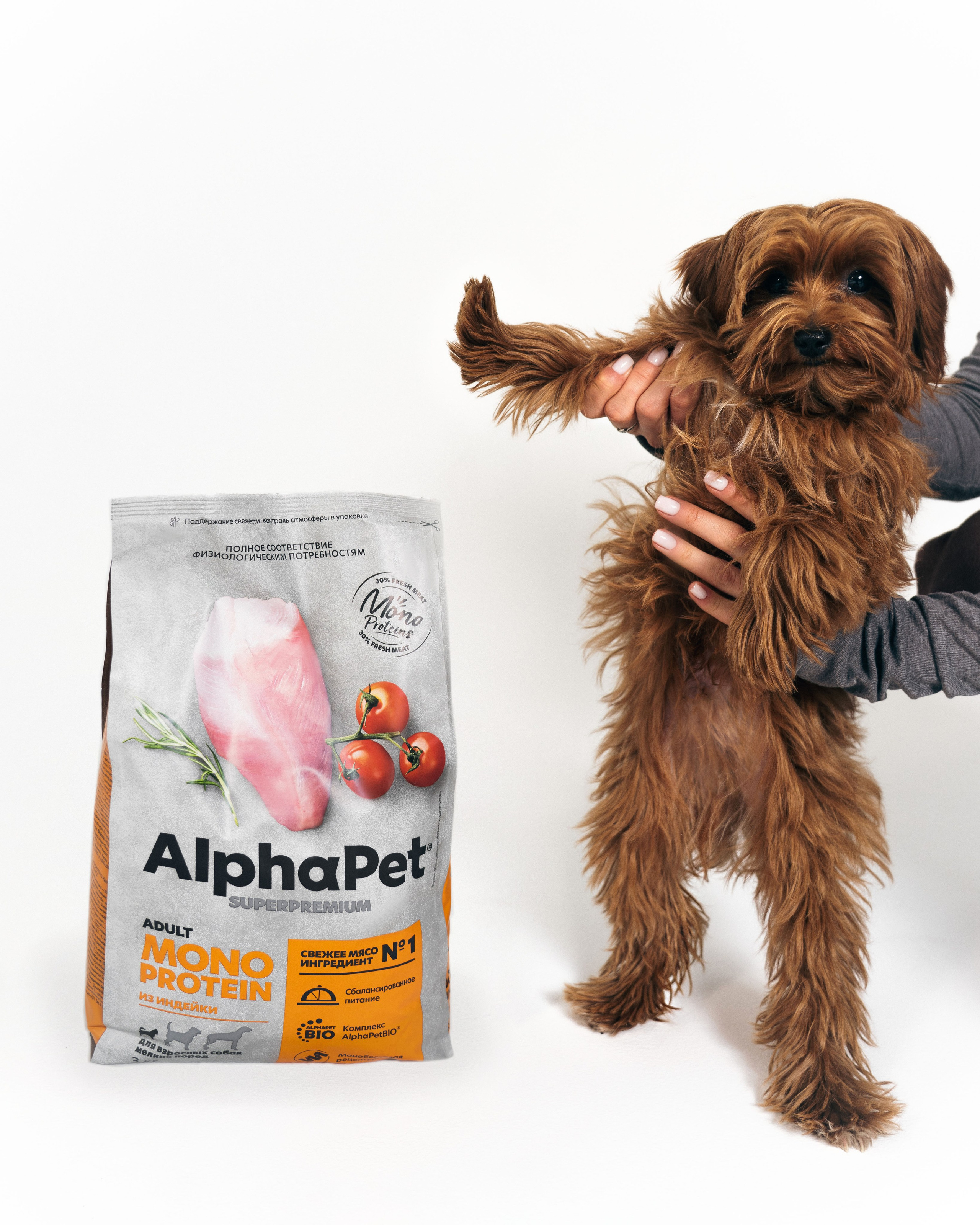 AlphaPet. Фотограф Москва