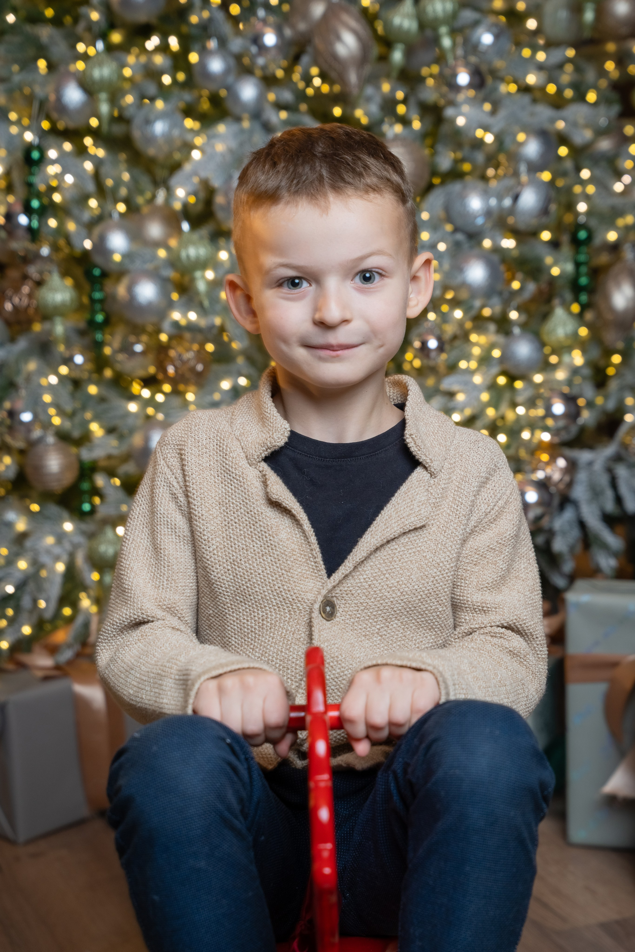 НОВОГОДНЯЯ СКАЗКА