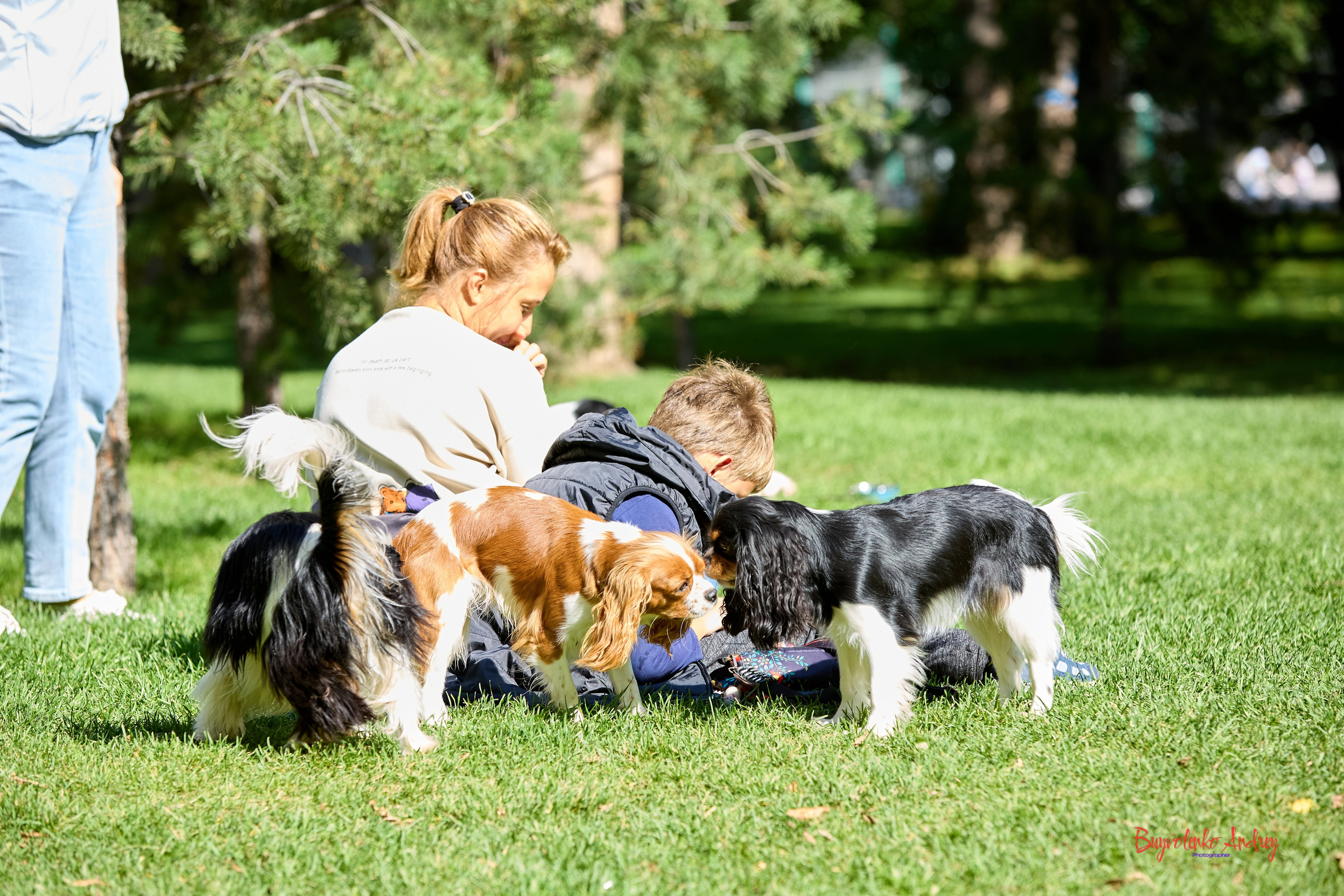 Фотопрогулка с кавалерами. Buyvolenko Andrey