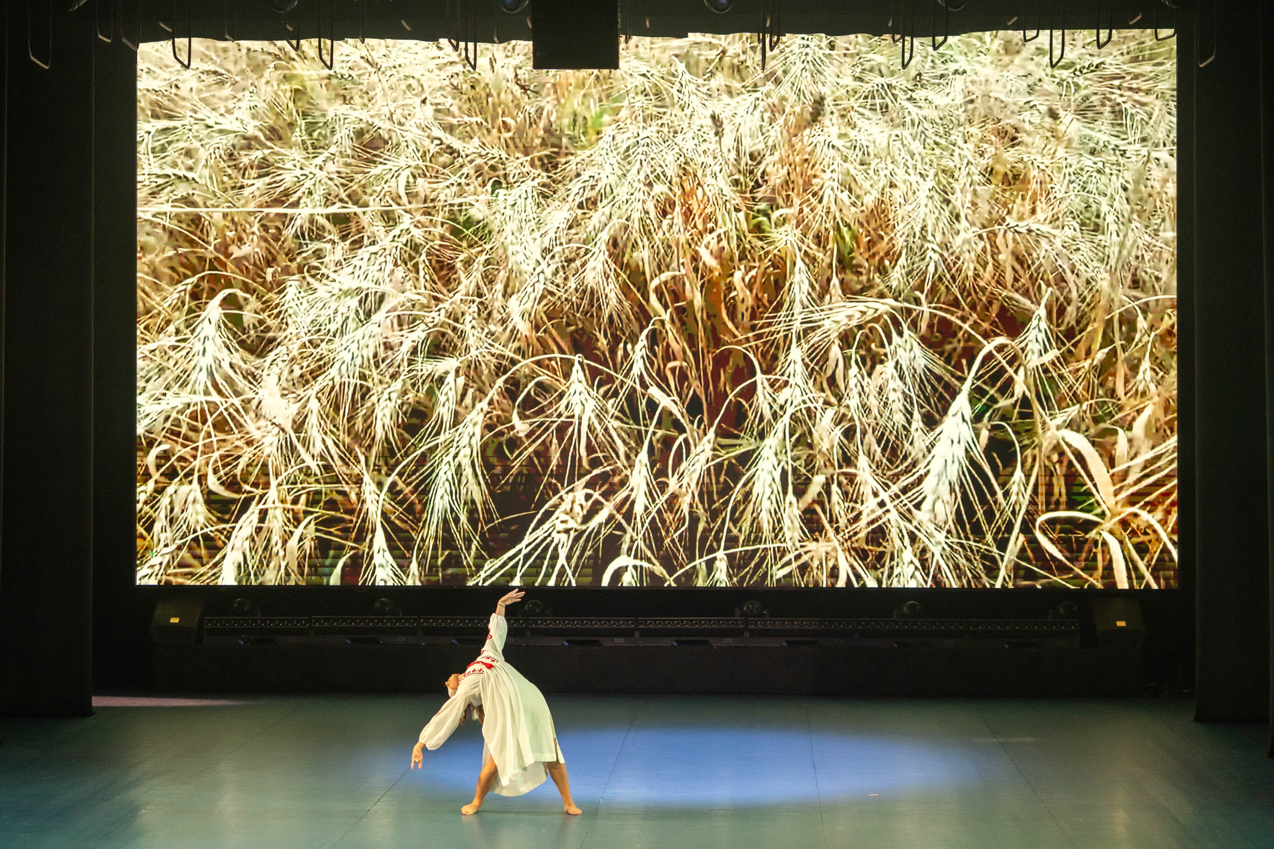 Отчетный концерт UNION DANCE, 2026. Оренбург. Фотограф Павел Герасименко