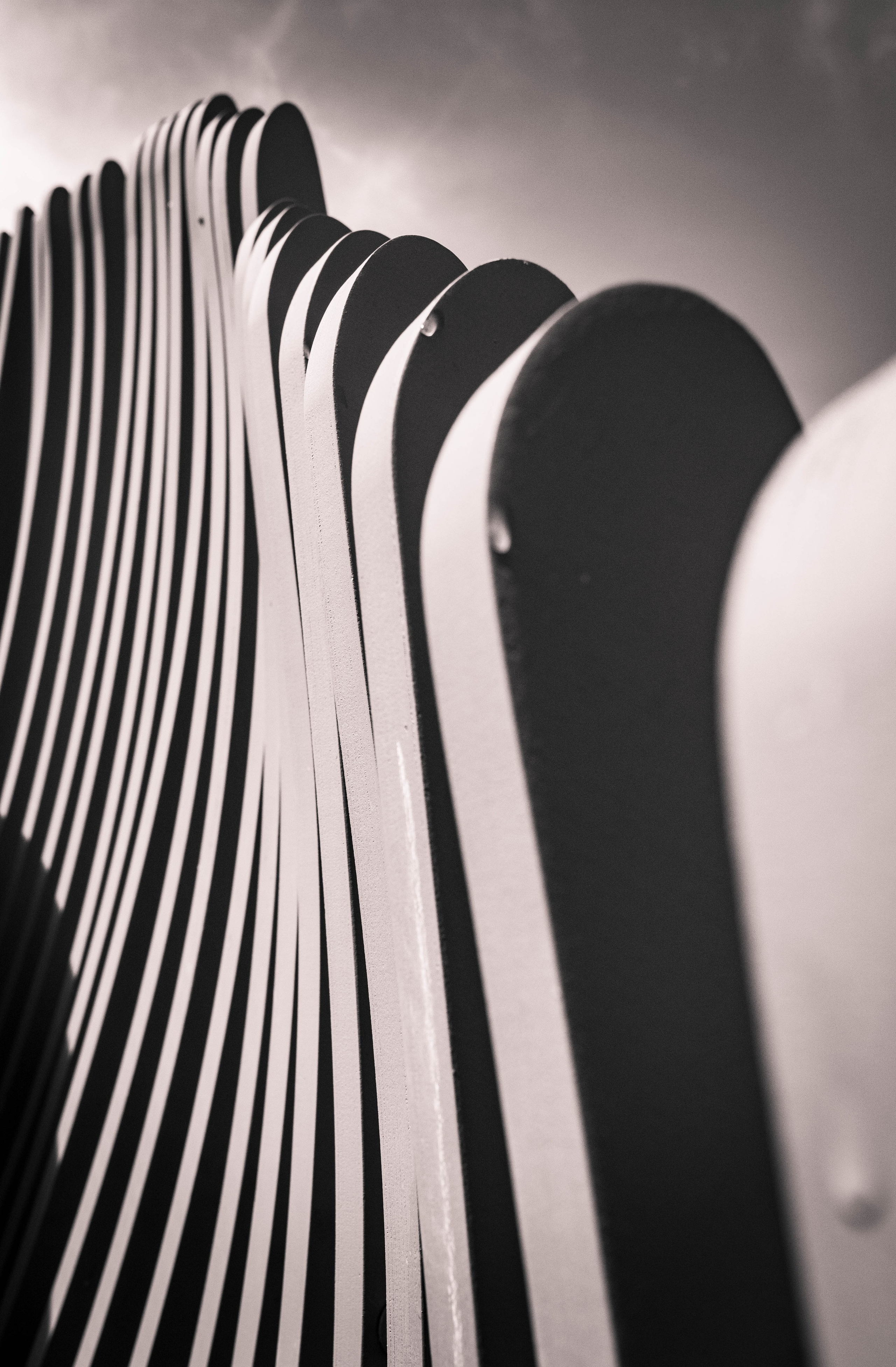 Ритмы карантина. Мари Линёк-Стельмах Фотохудожник Санкт-Петербург/Урал