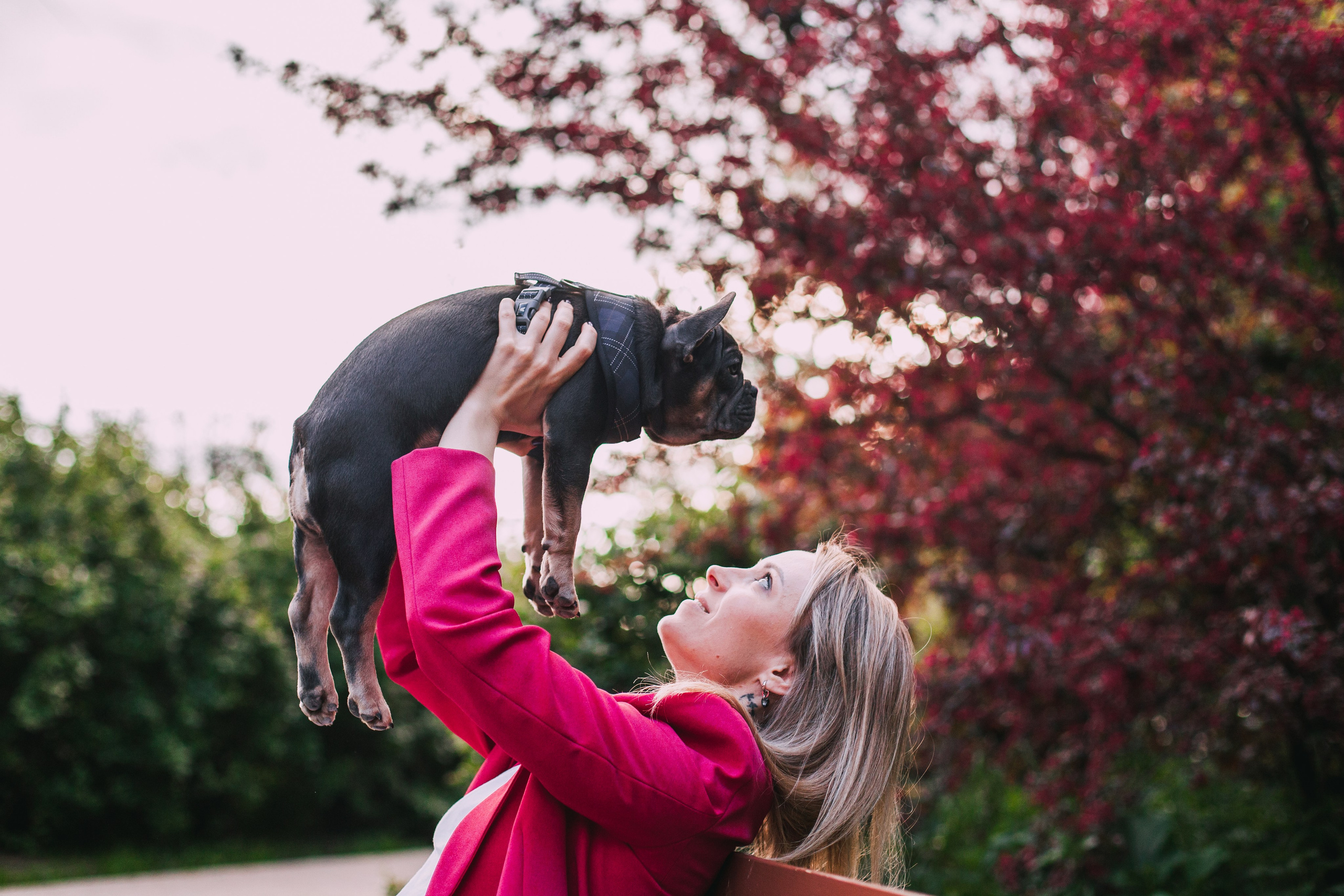 Даша и Мишель. Фотограф-анималист Татьяна Степанова