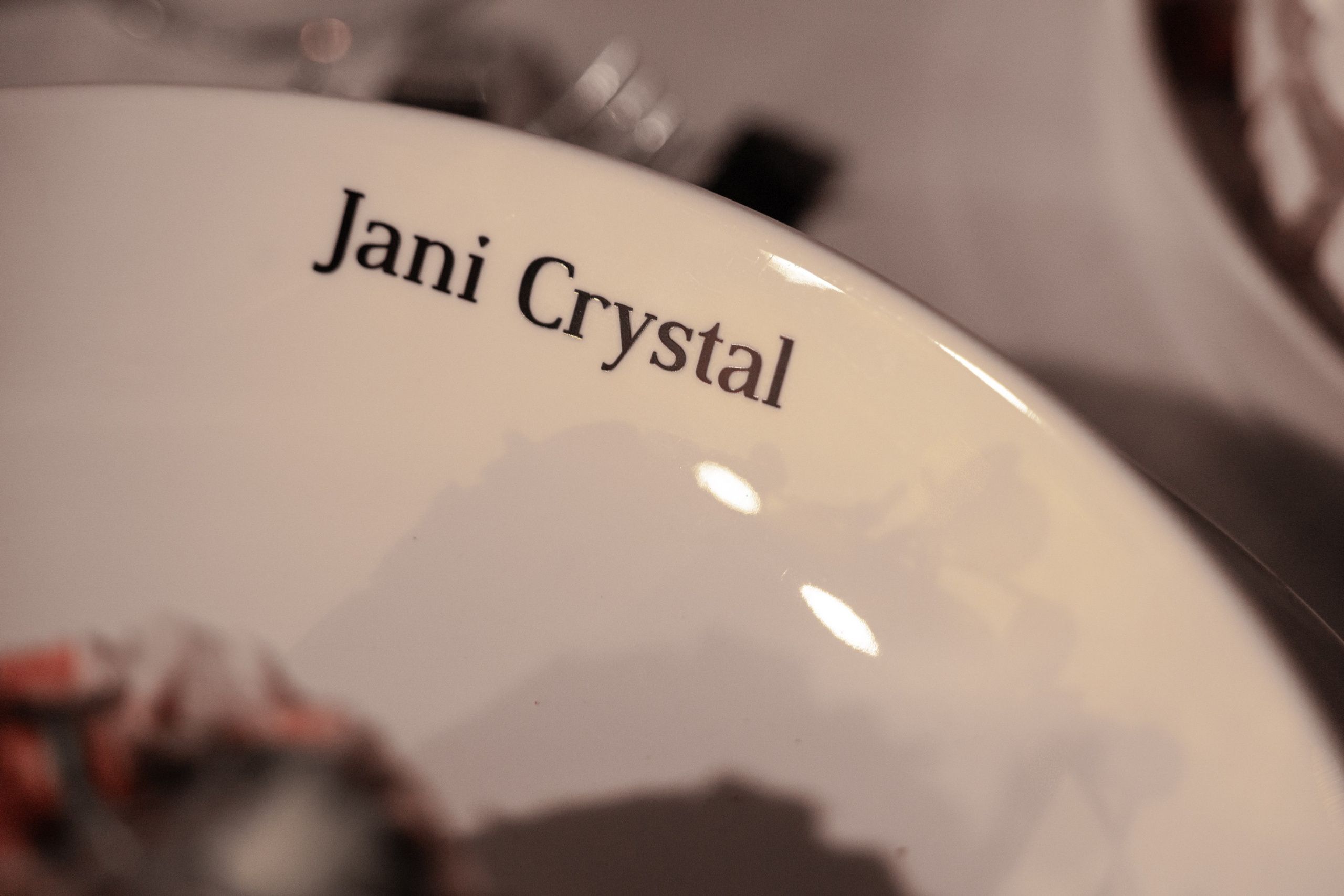 Репортаж с новогоднего корпоратива Jani Cristal