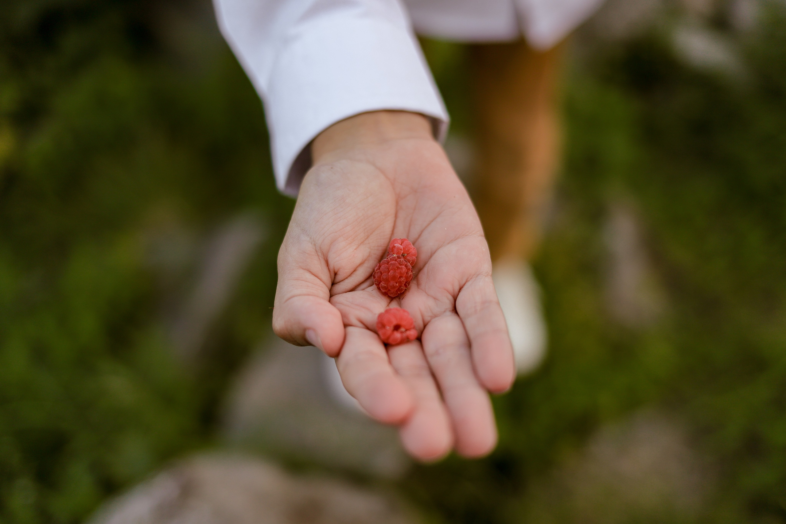 Семья Пьянковых
