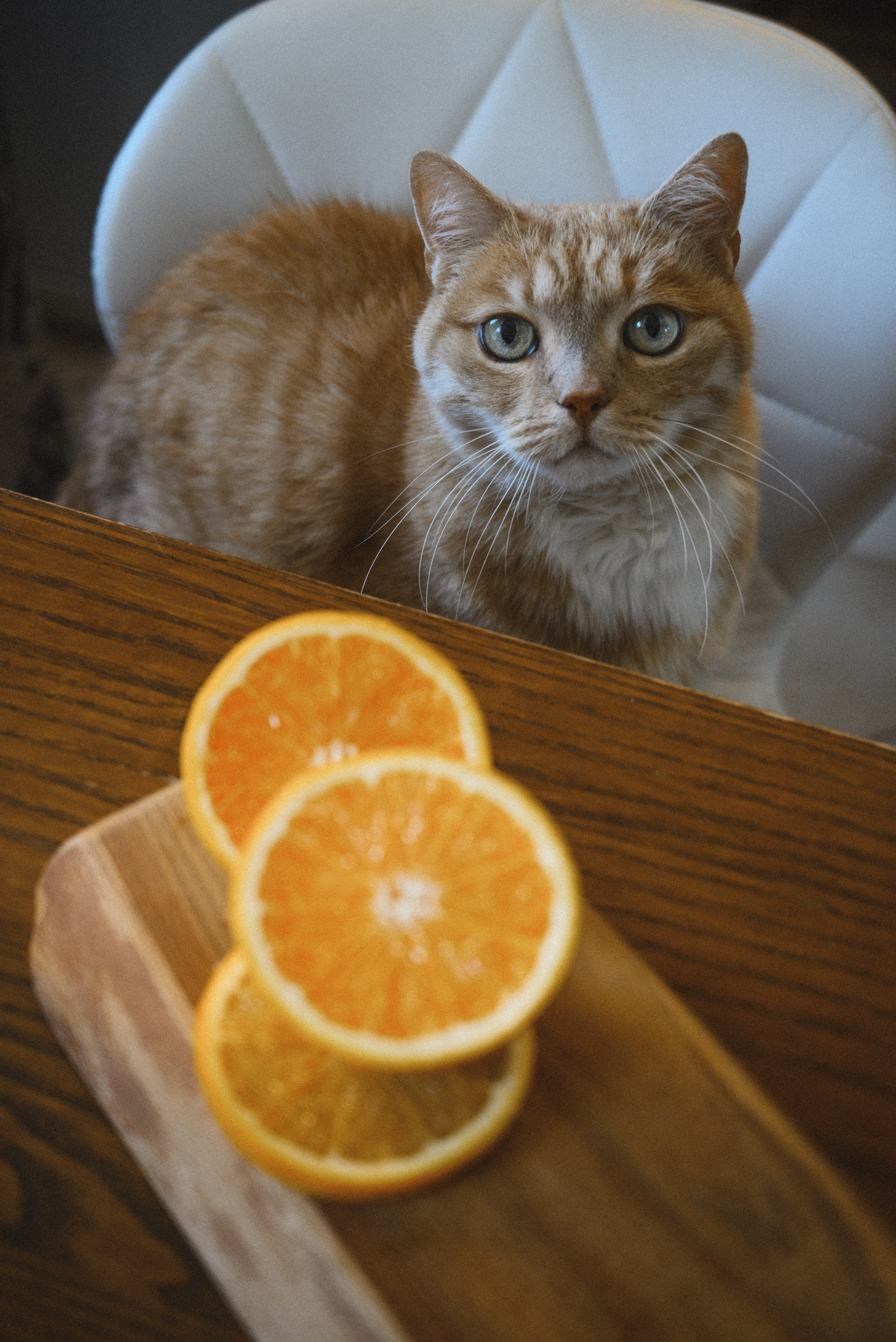 Вкус лета. Фотограф в Санкт-Петербурге Анна Гончар