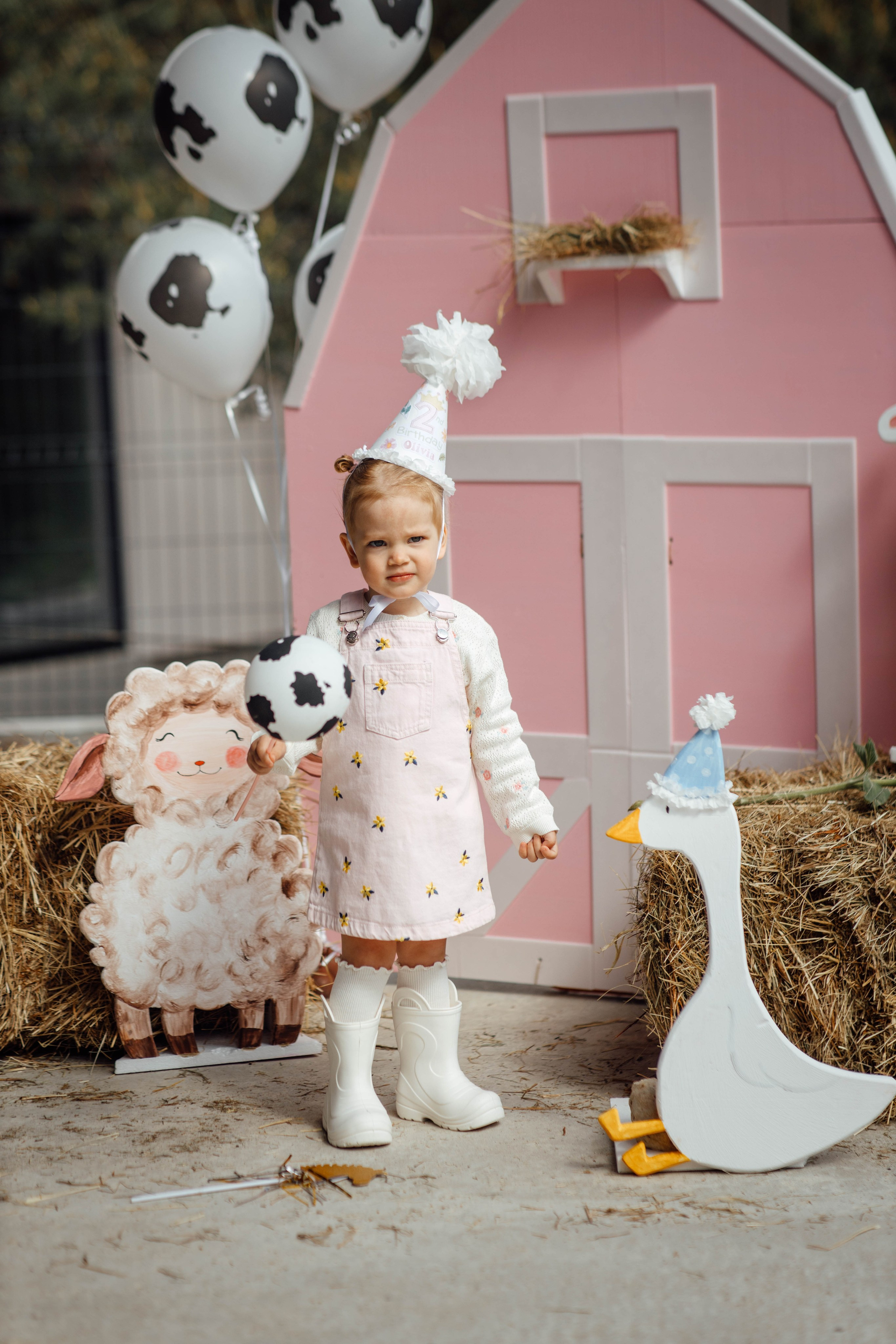 Репортаж дома, др