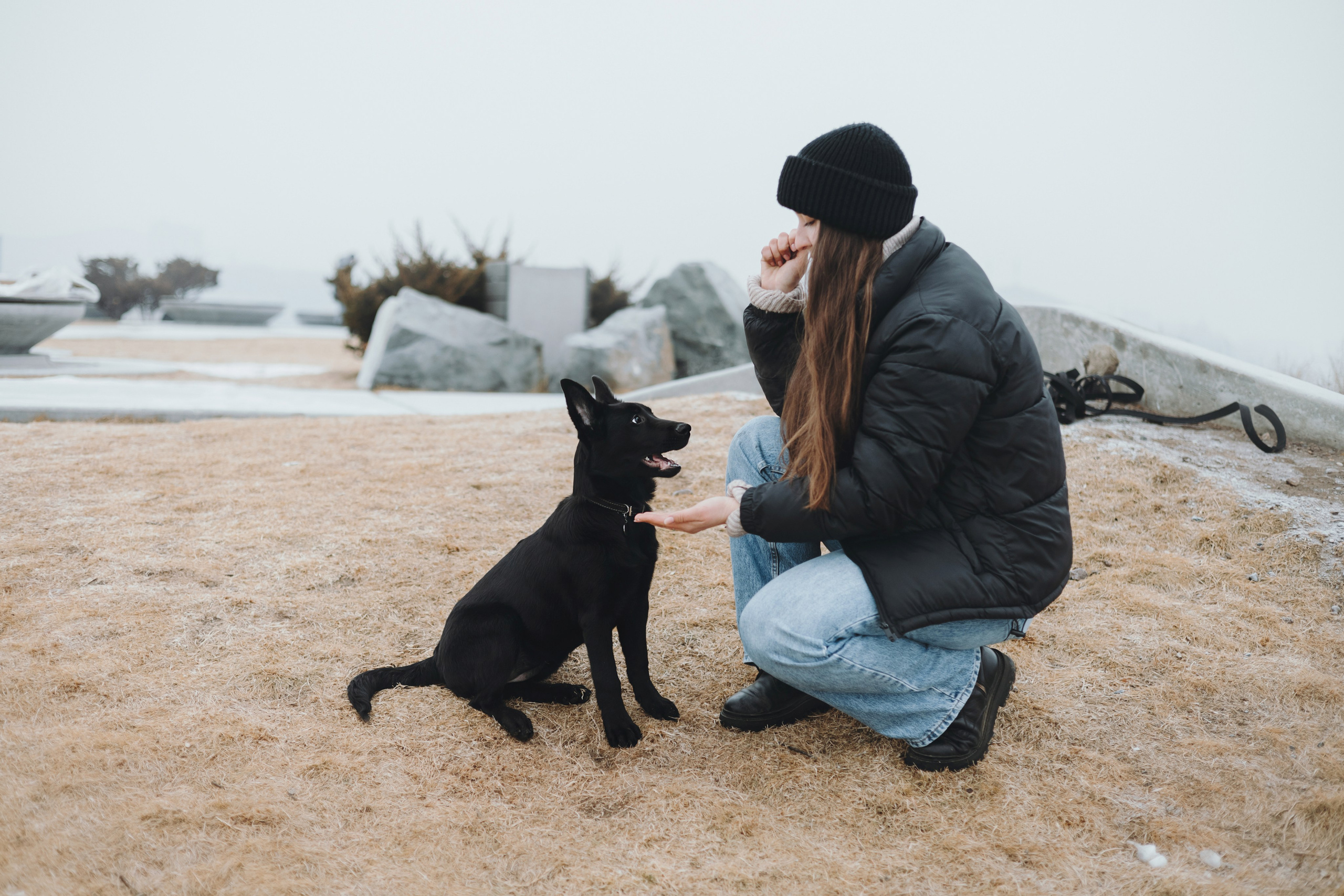 Ксения и Юта. Фотограф — анималист Владивосток, Алина