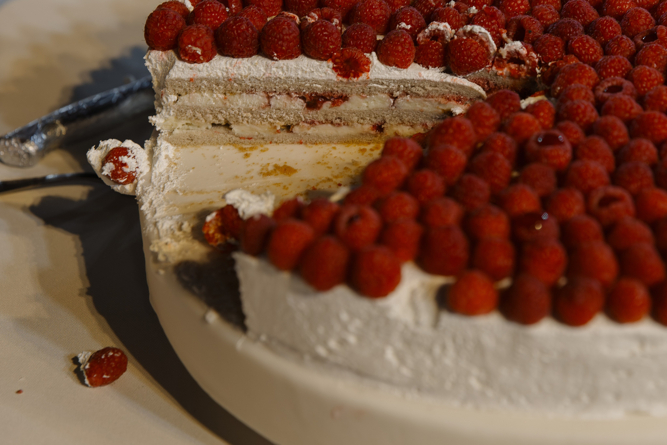 Алиса | Антон